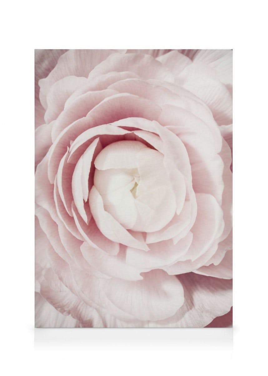 Toile Fleur Épanouie (70x100 cm - Cadre noir) - Poster Store