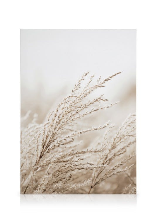 In the Reeds Stampa su tela (30x40 cm - Cornice in rovere) - Poster Store
