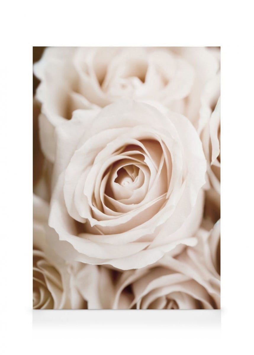 Toile Roses Pêche (70x100 cm - Cadre noir) - Poster Store