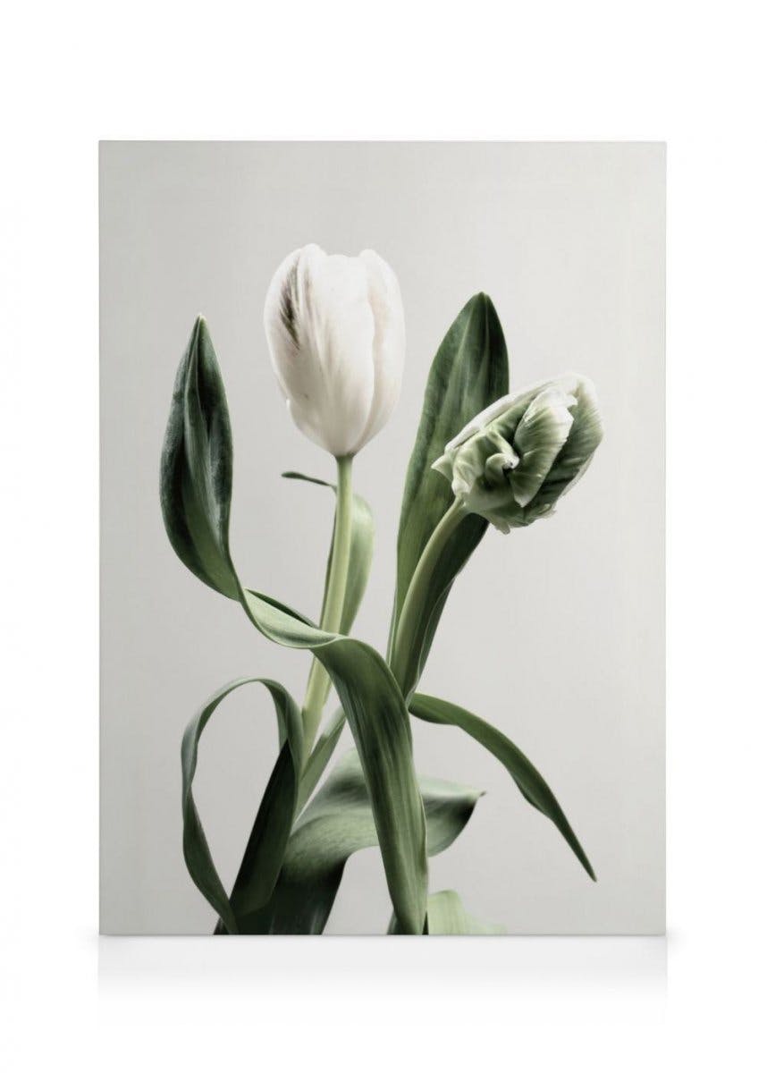 Canvas Prints - Tulips Canvas print (70x100 cm - Black Frame) - Poster Store