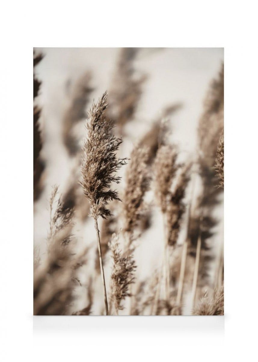 Toile Herbe de Roseau (70x100 cm) - Poster Store