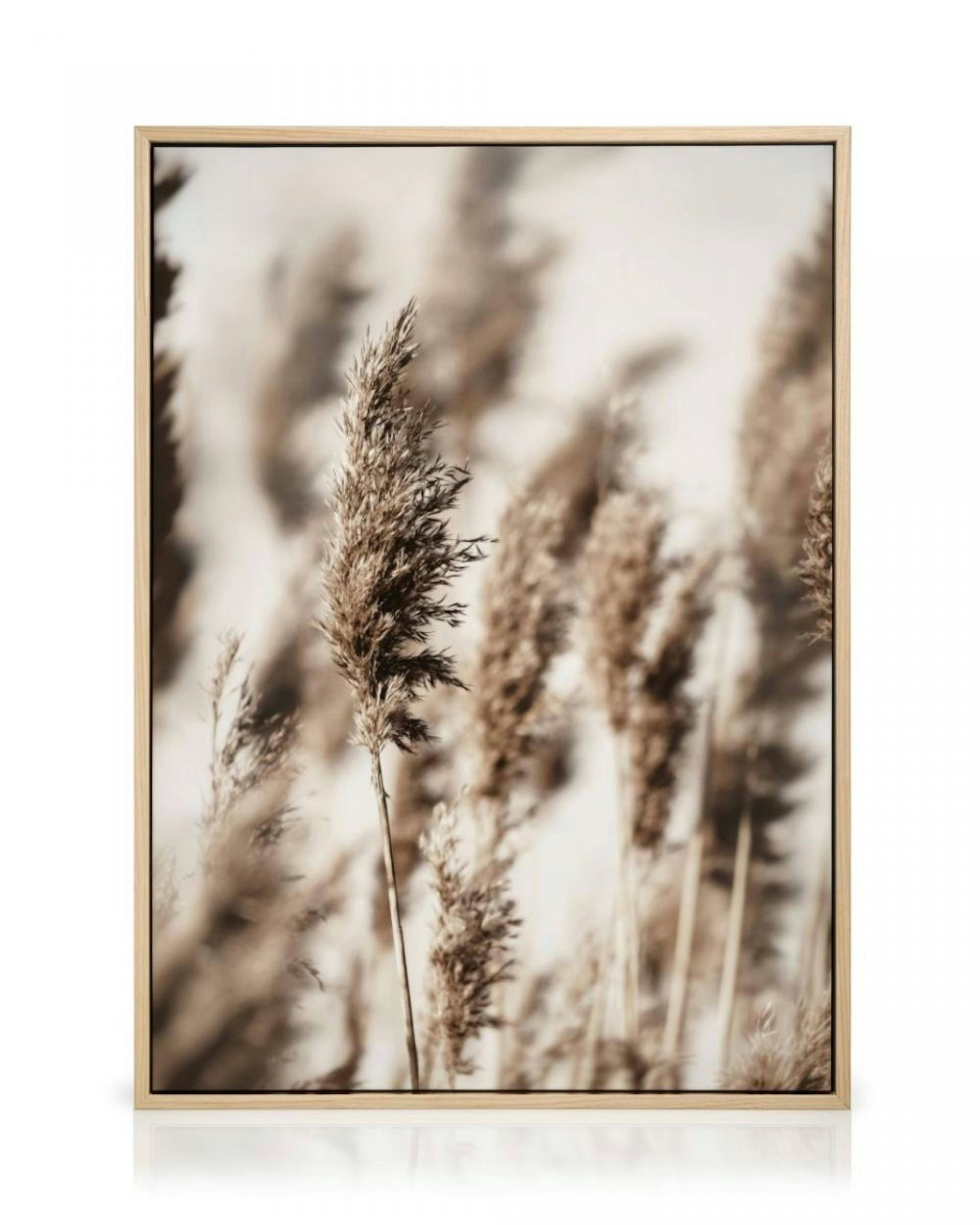 Reed Grass Canvas Print thumbnail