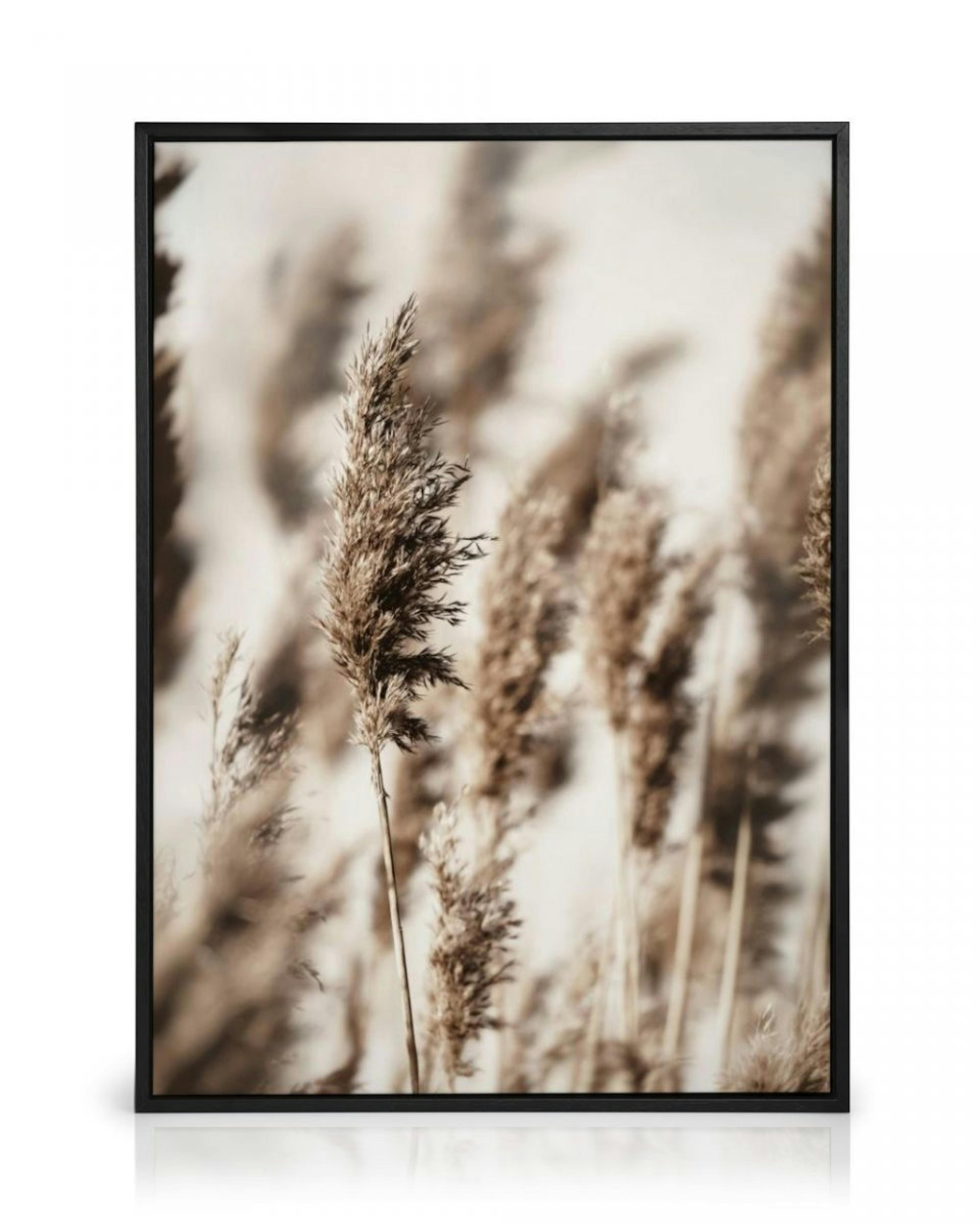 Reed Grass Canvas Print thumbnail