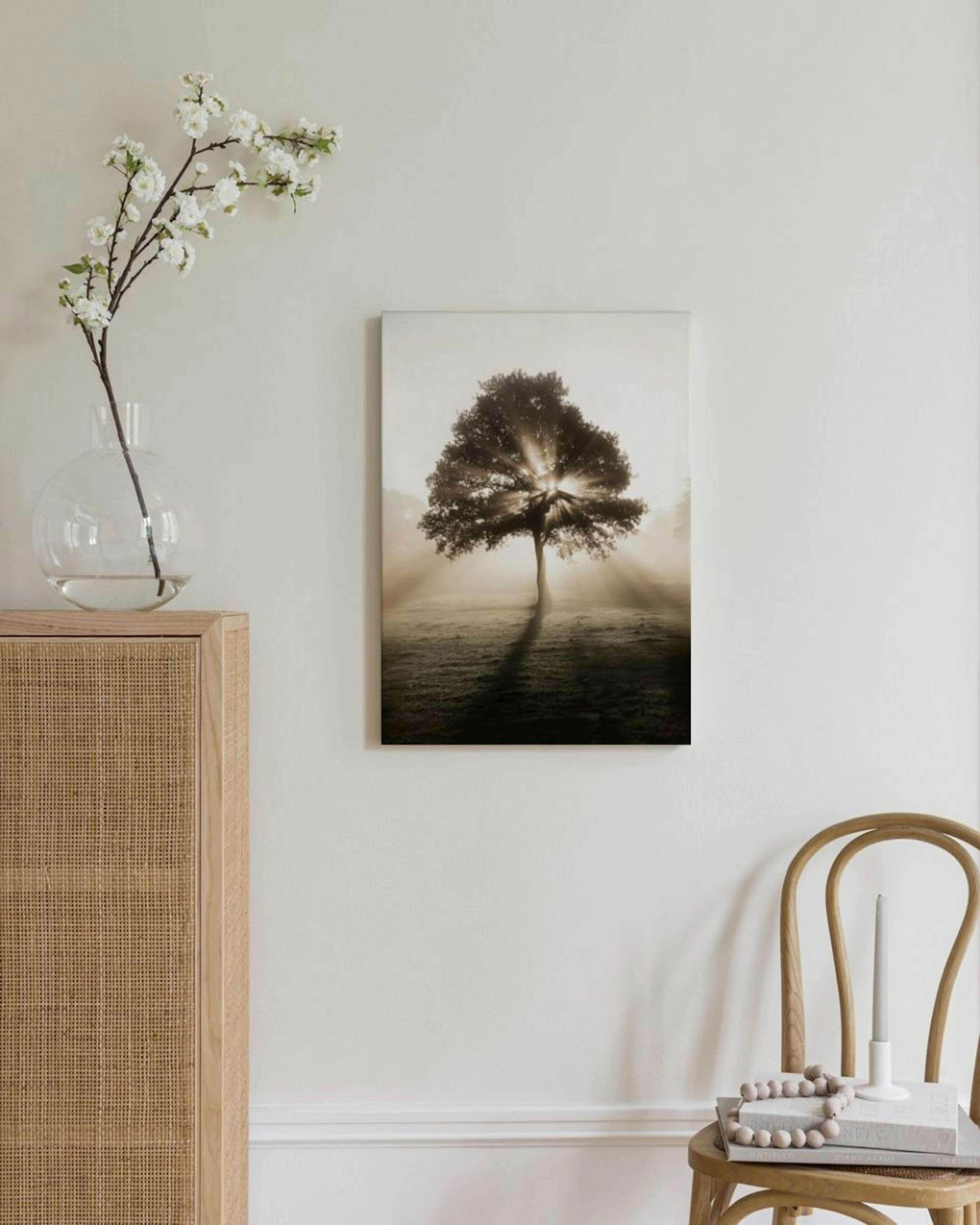 Sunrise Tree Canvas Print thumbnail