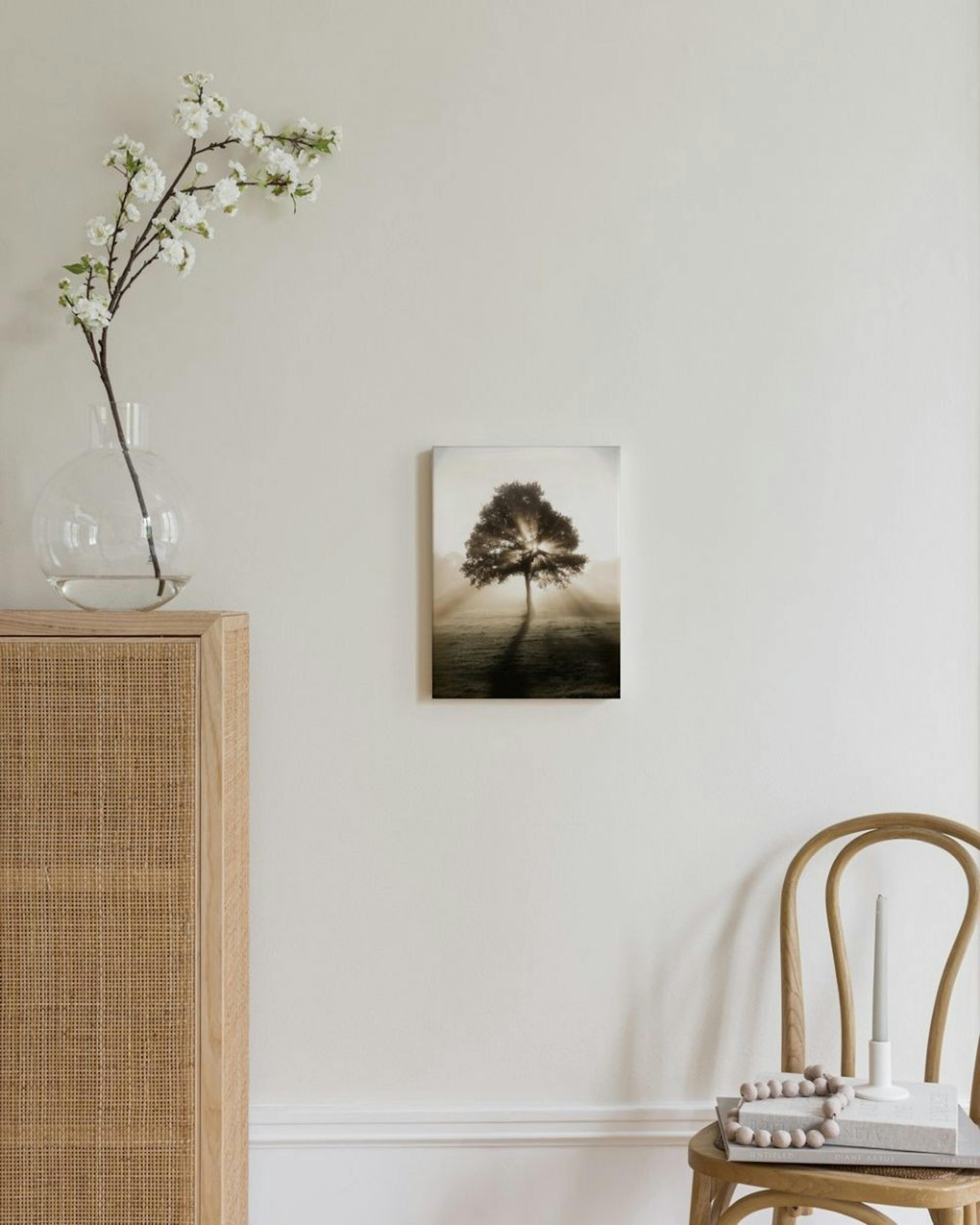 Sunrise Tree Canvas Print thumbnail