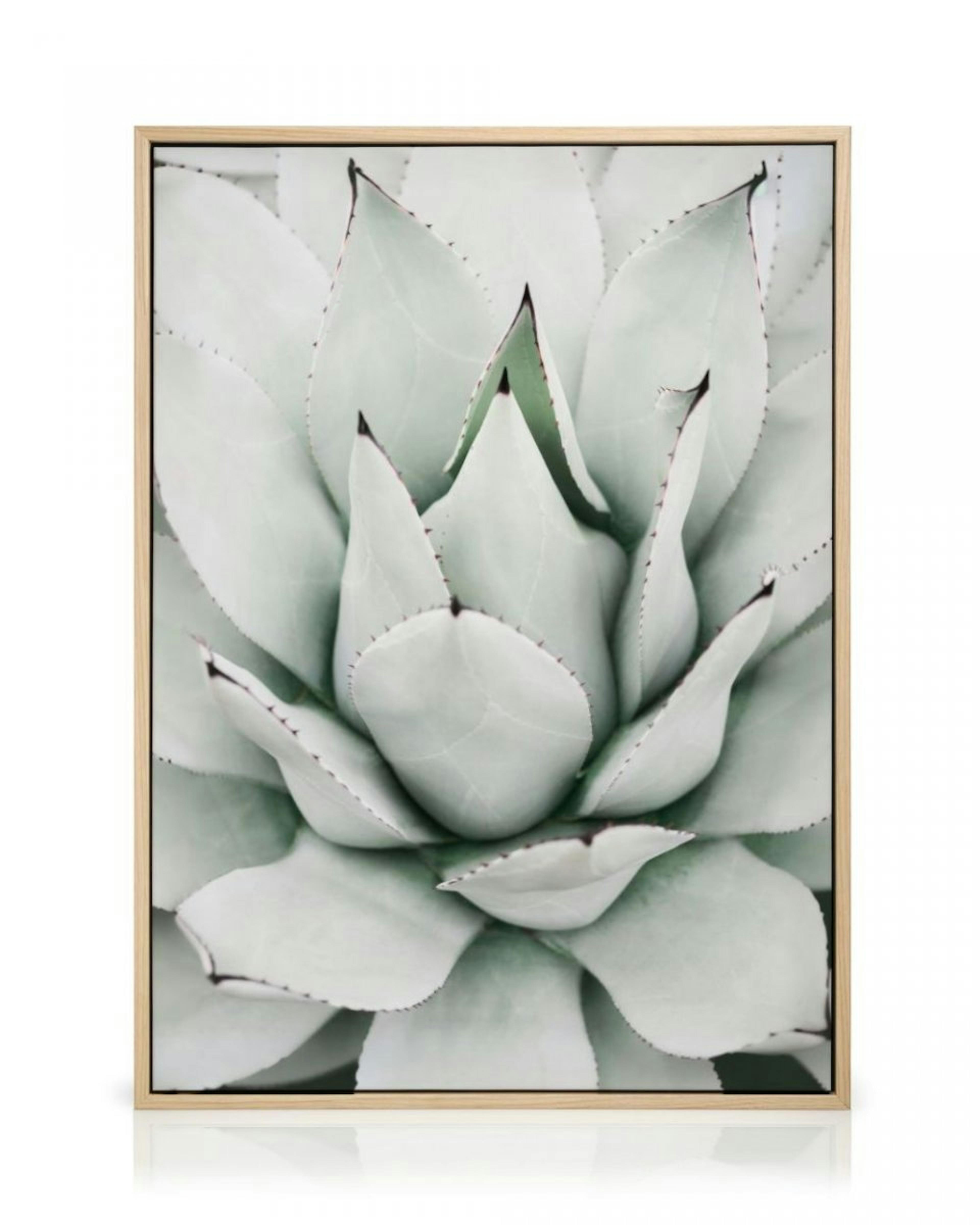 Green Agave Canvas Print thumbnail