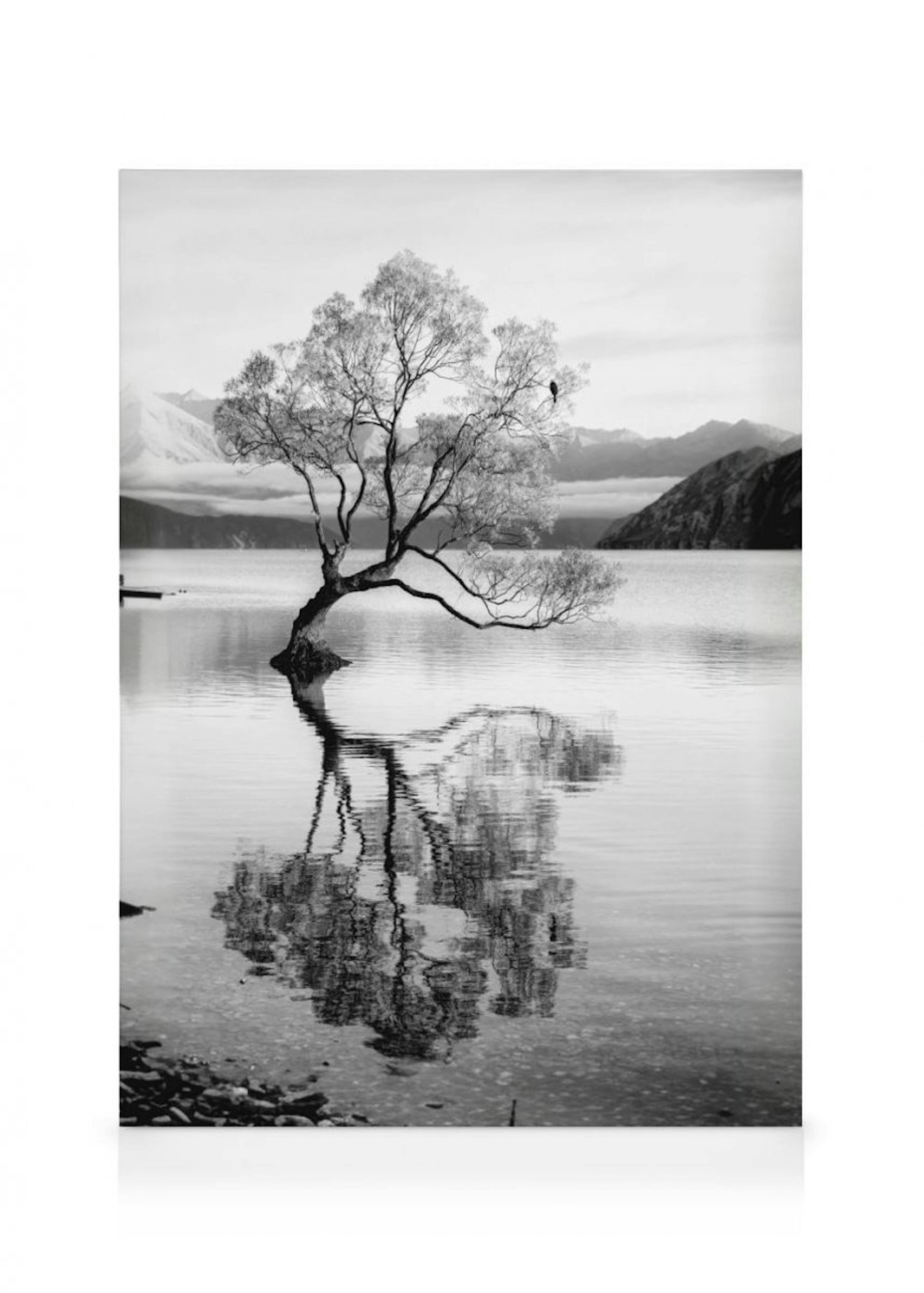 Tree Reflection Canvas Print thumbnail