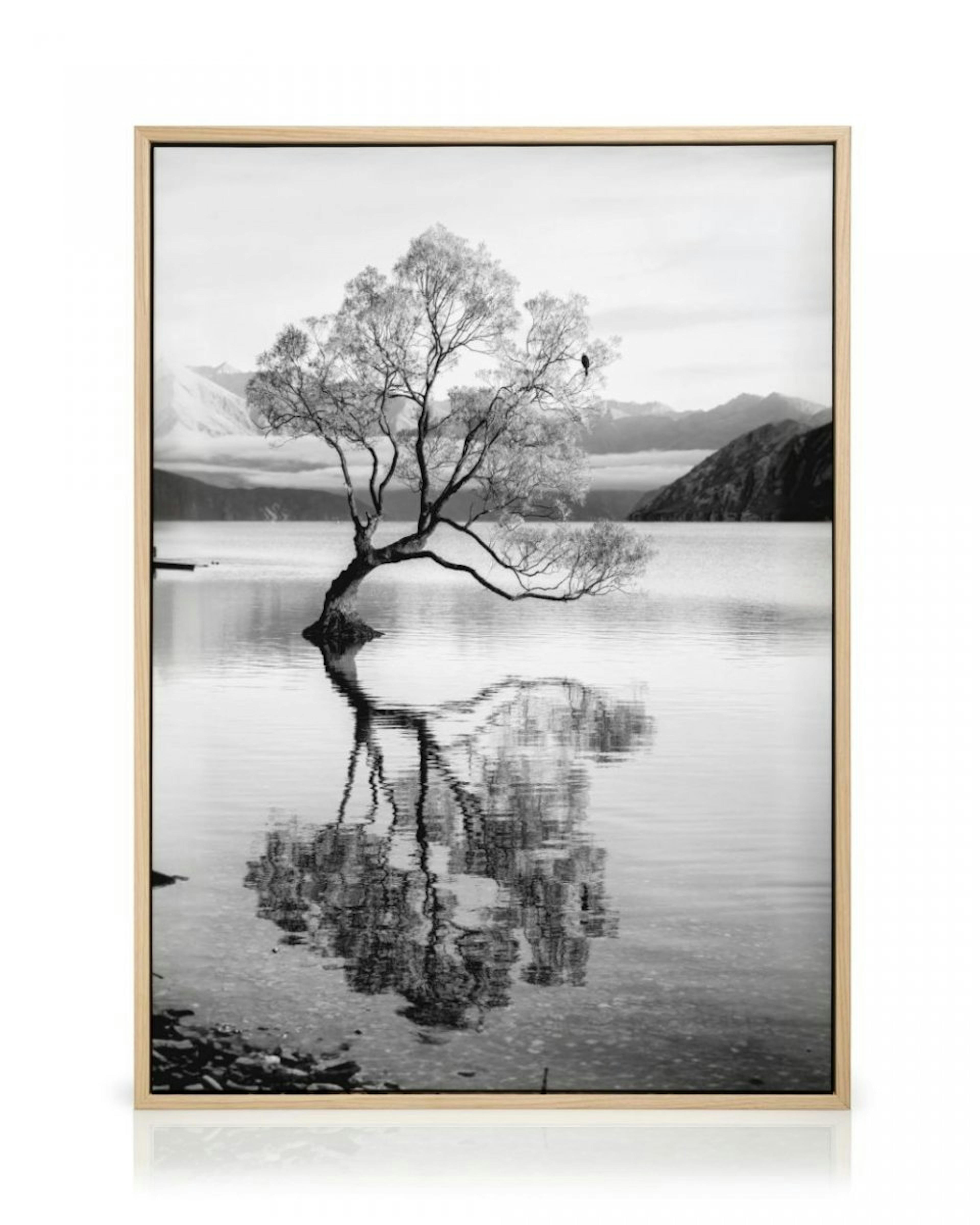 Tree Reflection Canvas Print thumbnail