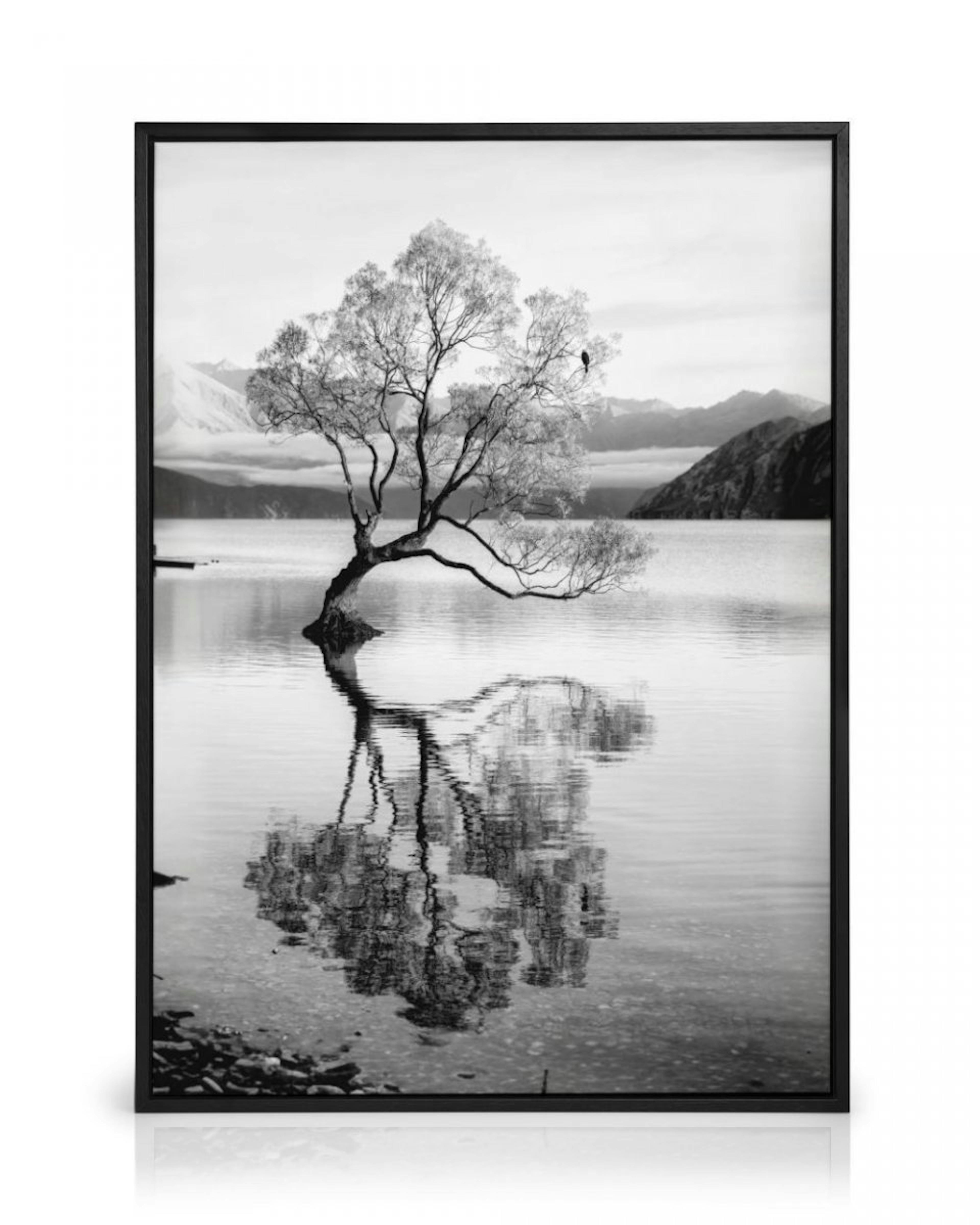 Tree Reflection Canvas Print thumbnail