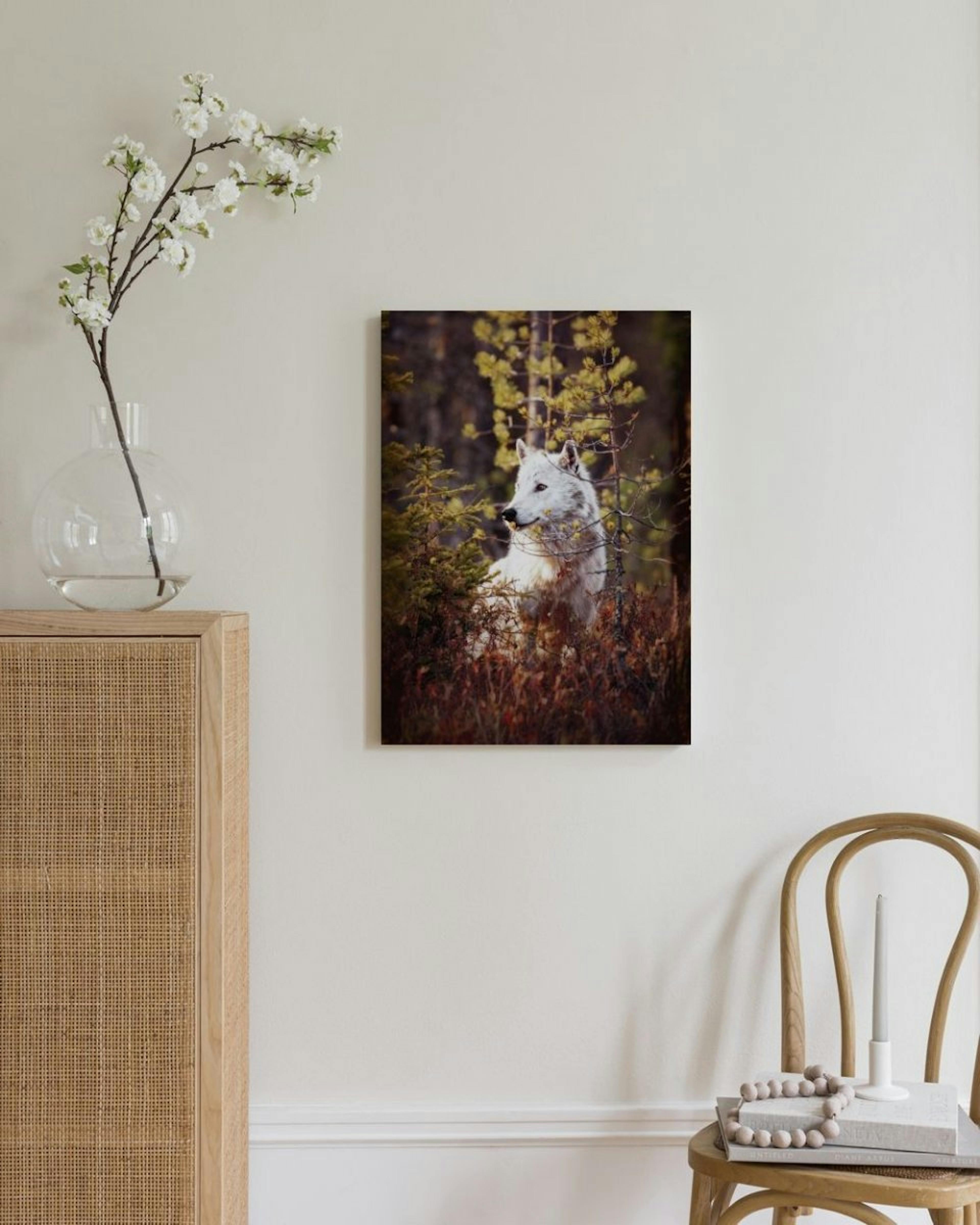 Wolf in Forest Canvas thumbnail