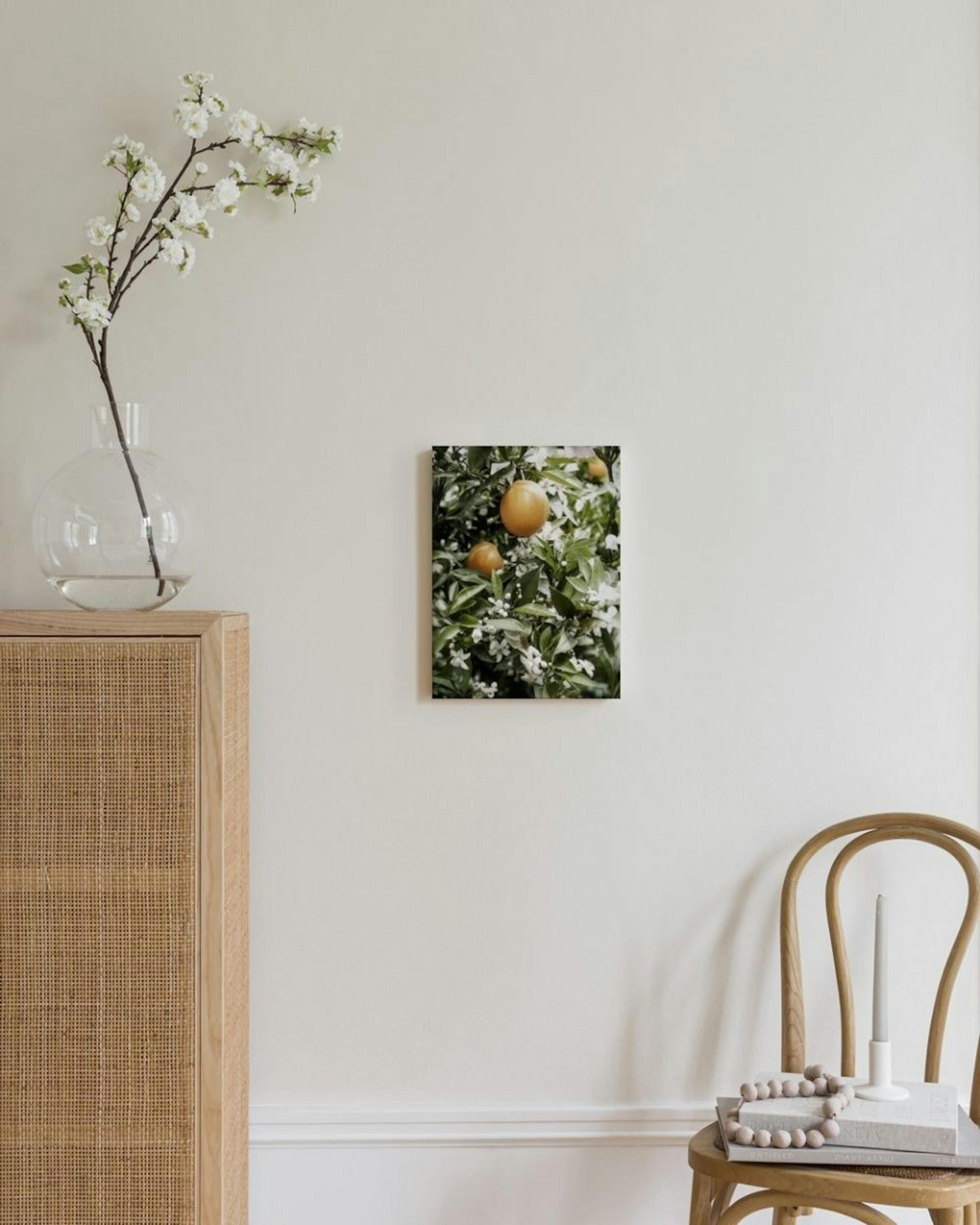 Orange Tree Canvas Print thumbnail