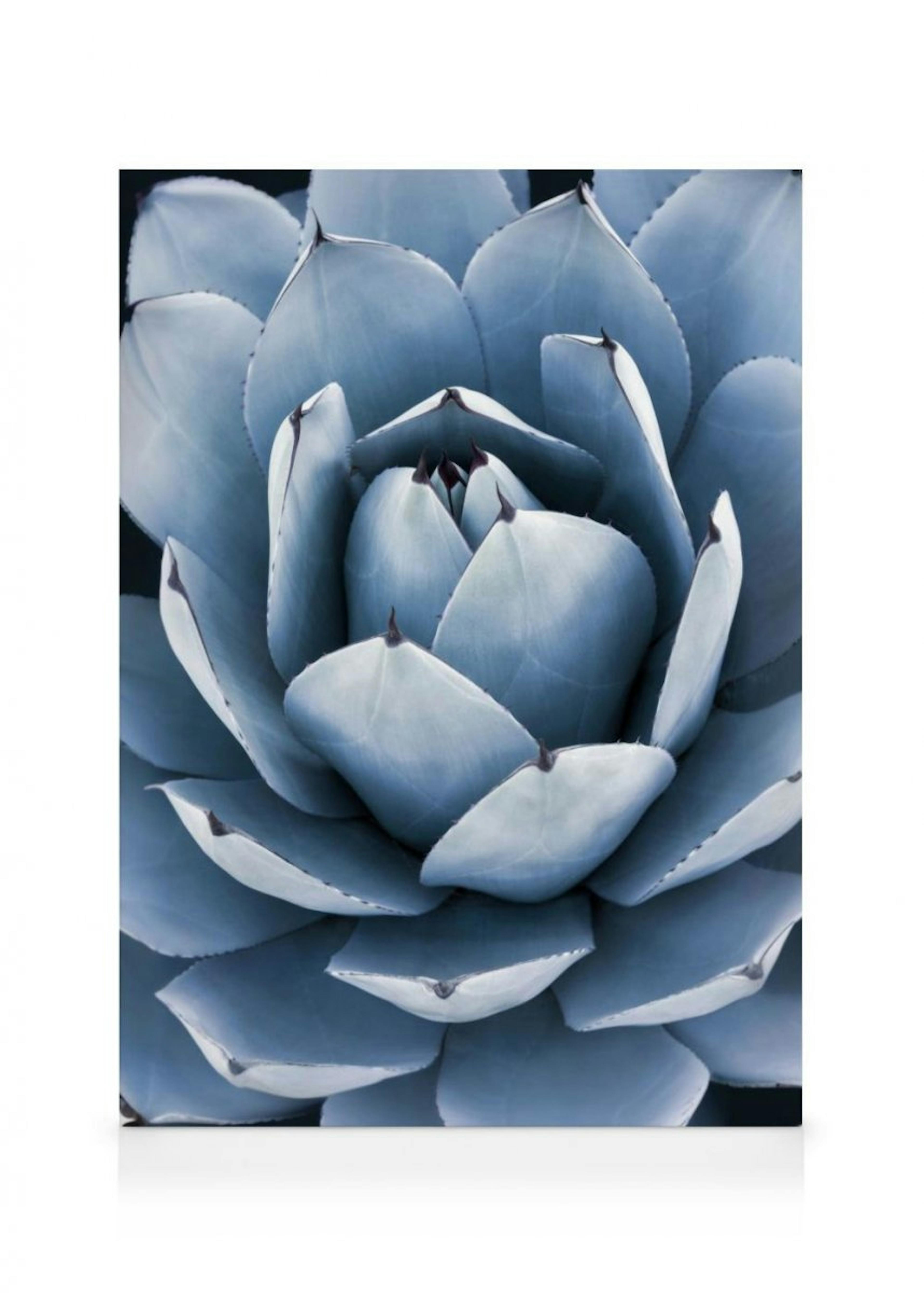 Leinwandbild Blaue Agave 0