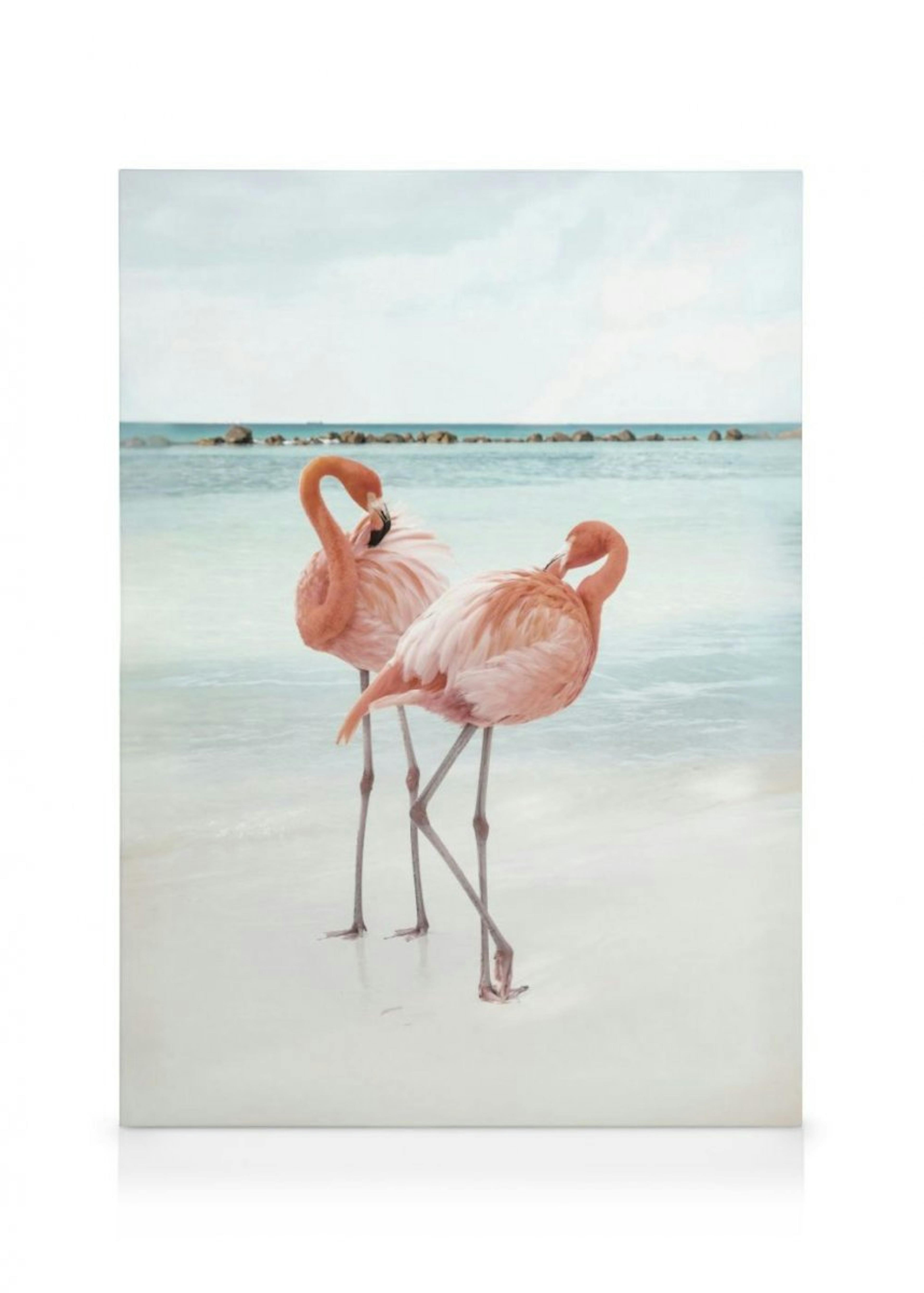 Flamingo Love Canvas Print 0