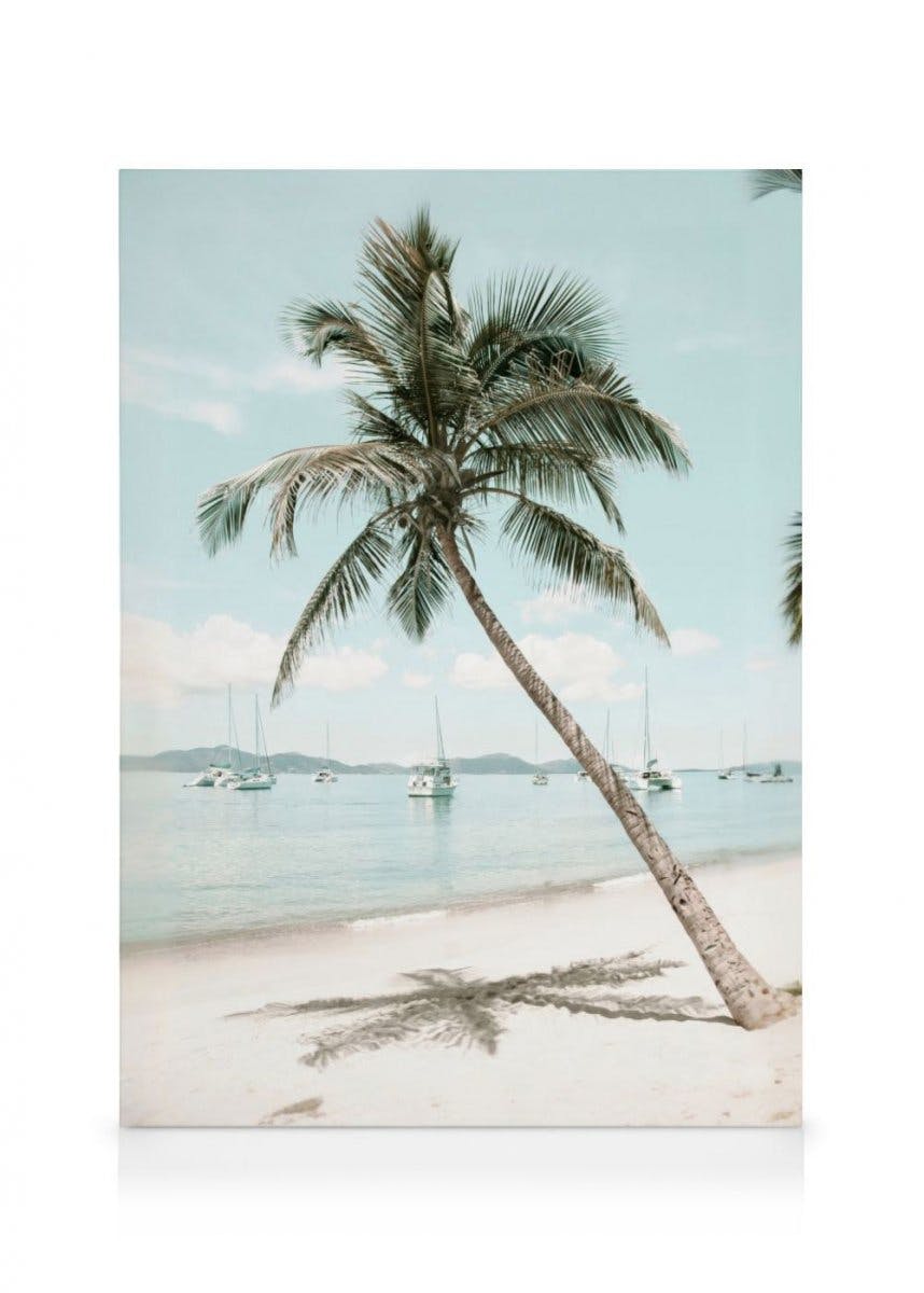 Toile Palmier des Caraïbes (70x100 cm - Cadre noir) - Poster Store