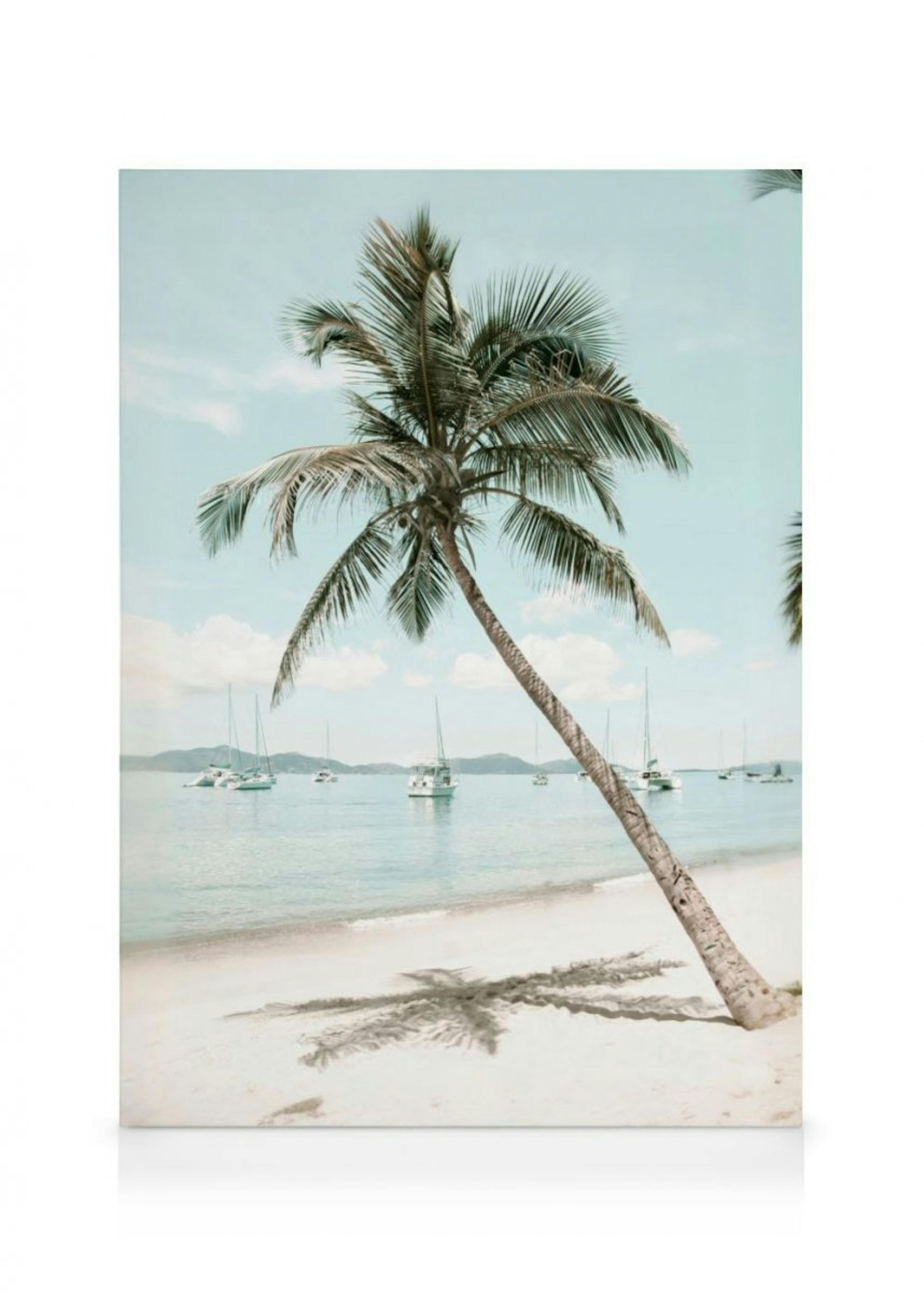 Caribbean Palm Tree Canvas Print thumbnail