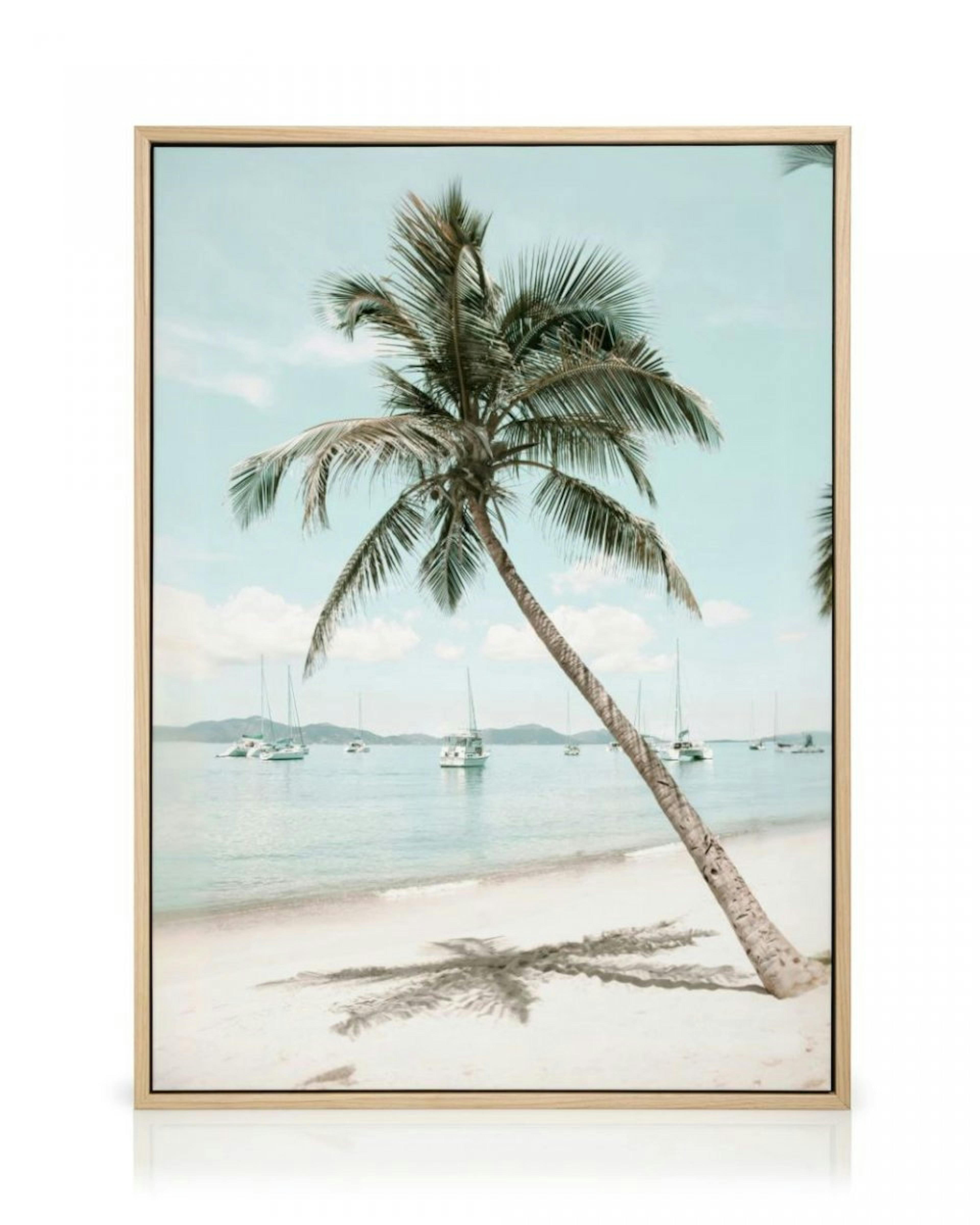 Caribbean Palm Tree Canvas Print thumbnail