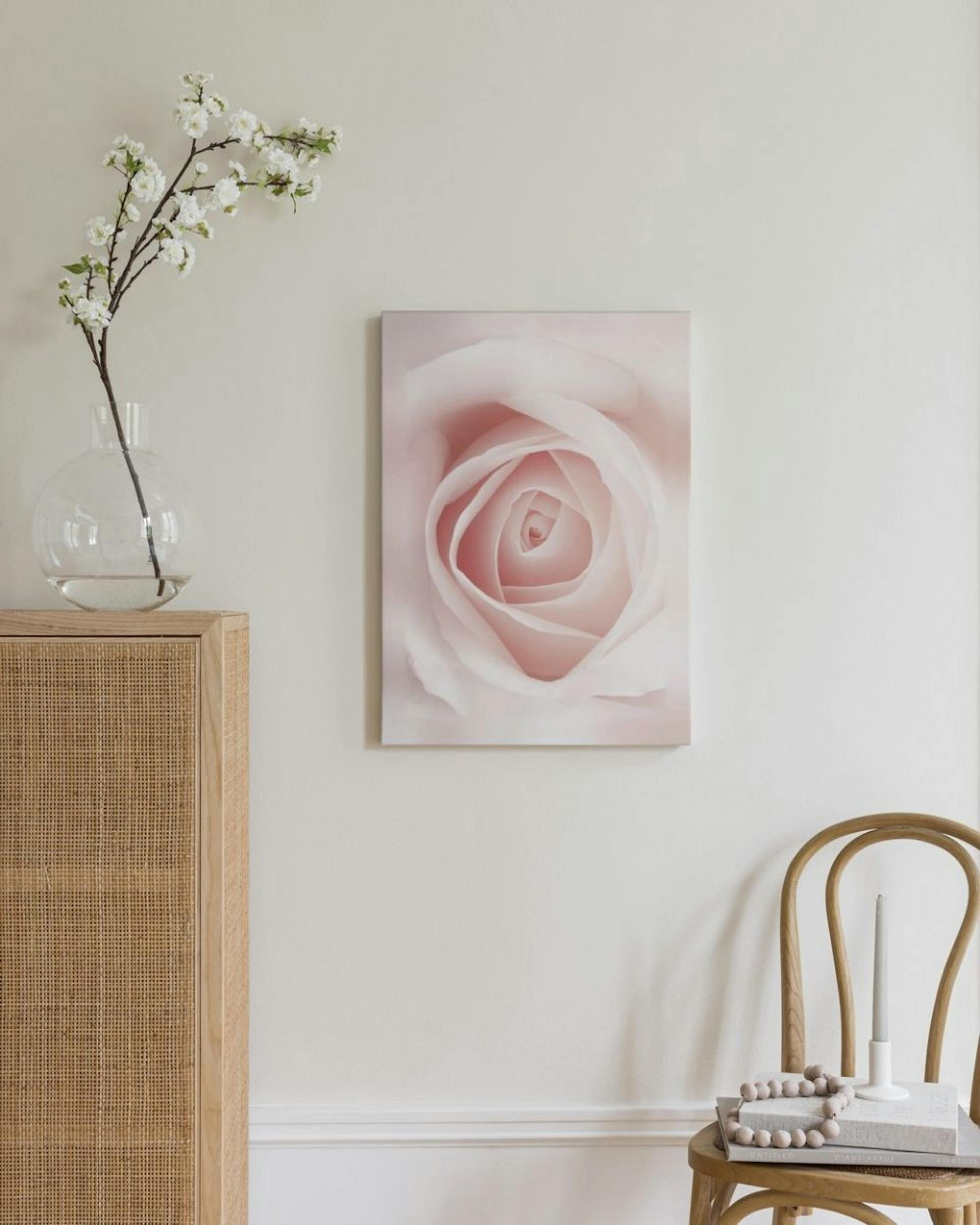 Pale Pink Rose Canvas thumbnail