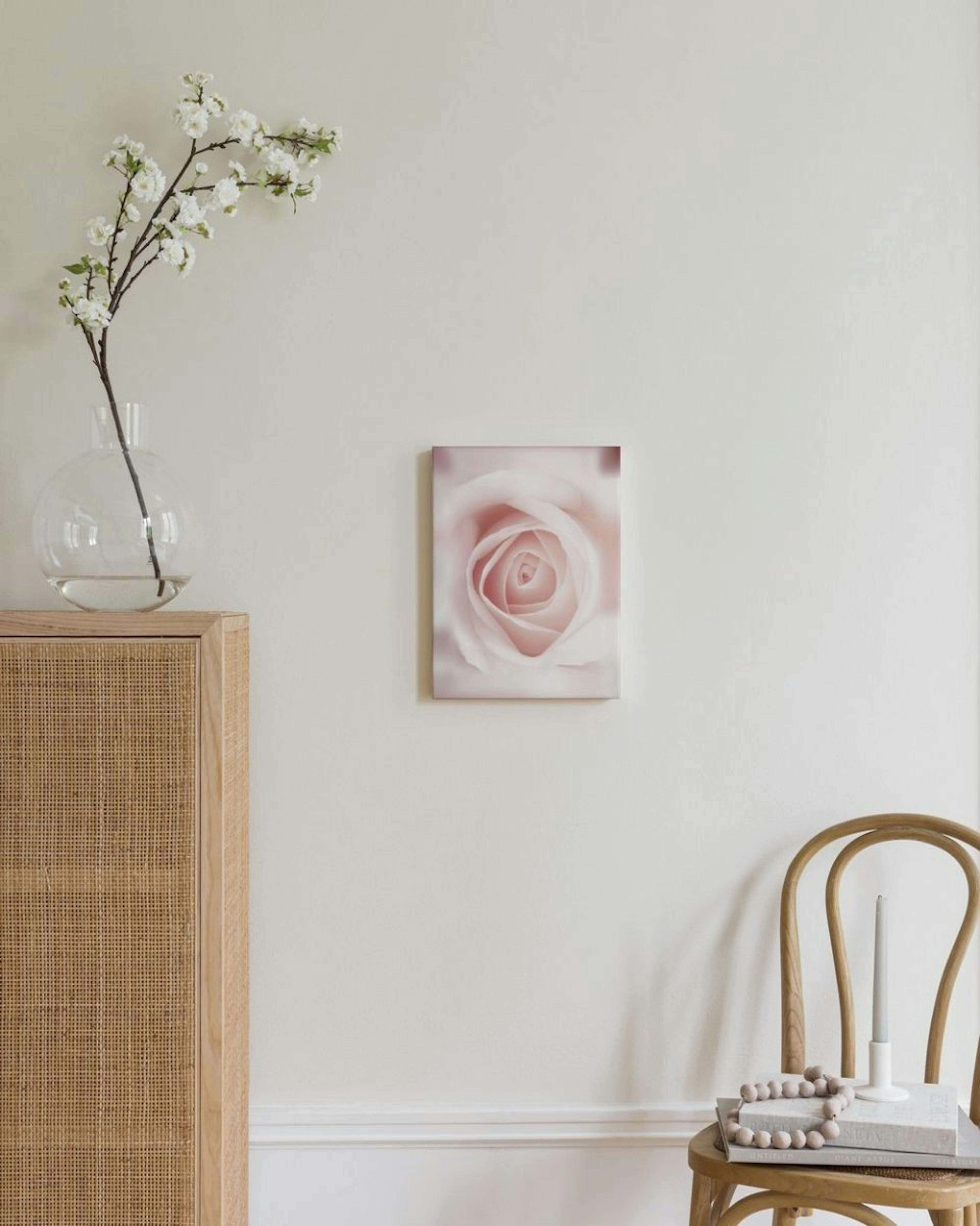 Pale Pink Rose Canvas print thumbnail