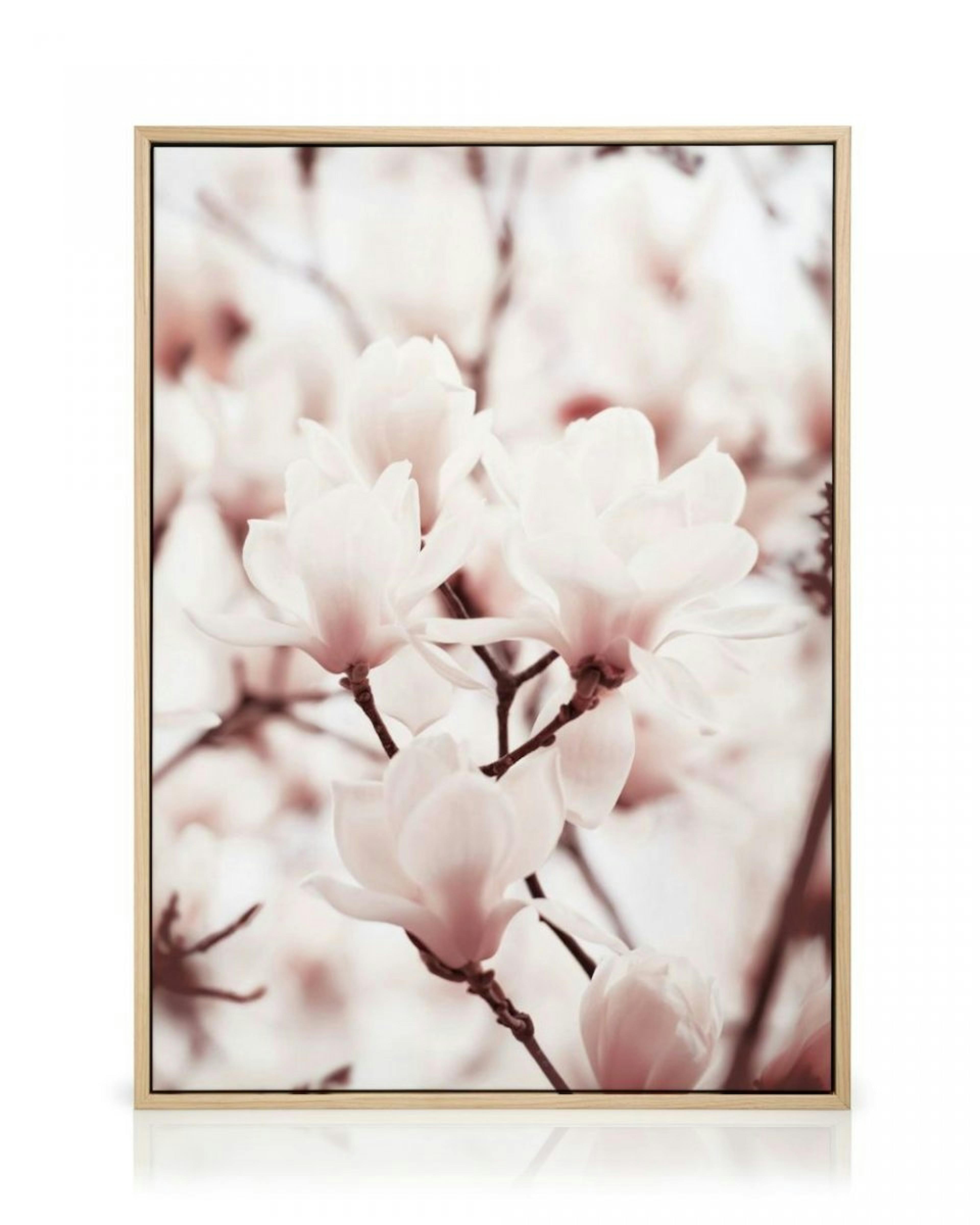 Pink Magnolias Canvas Print thumbnail