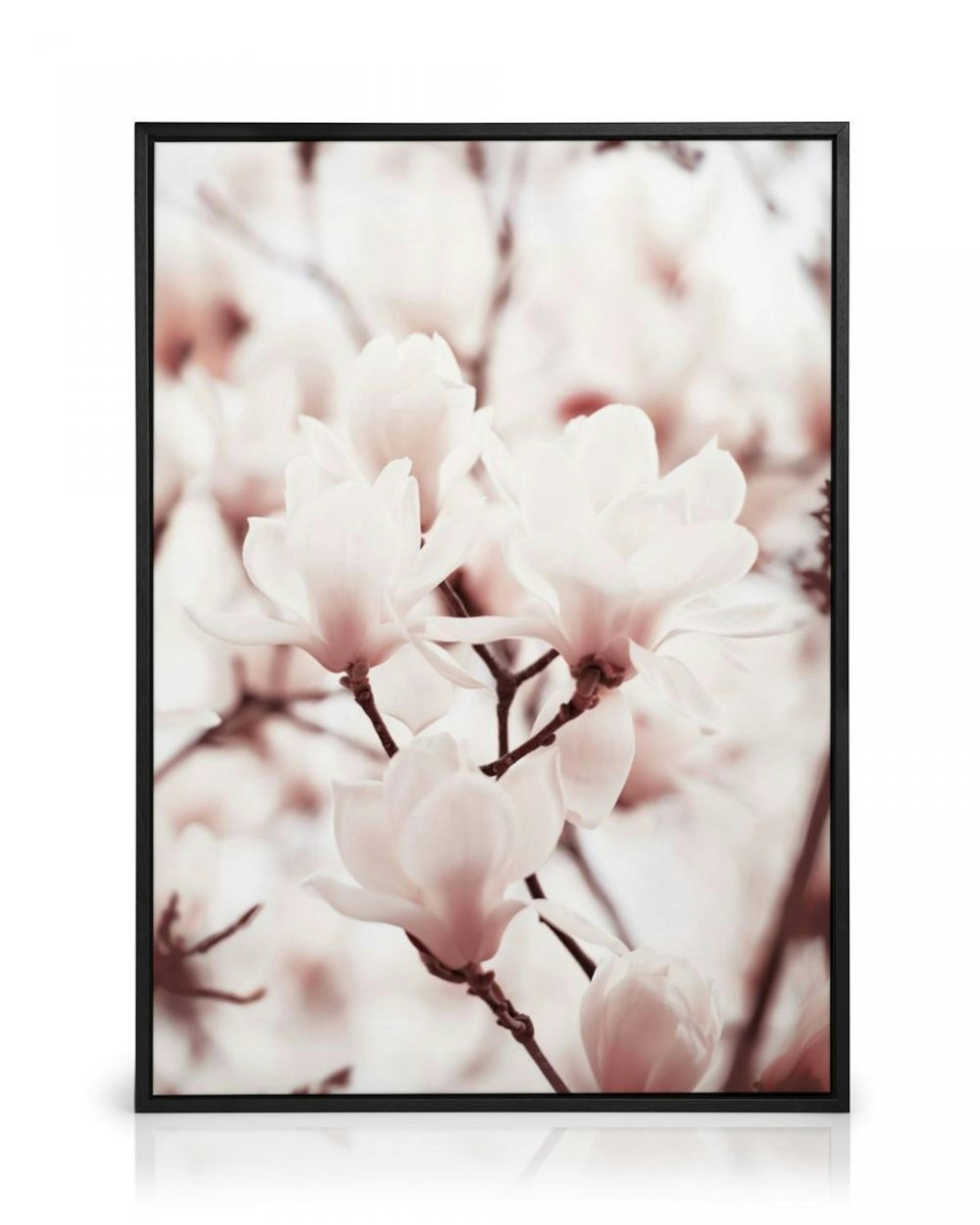 Pink Magnolias Canvas Print thumbnail