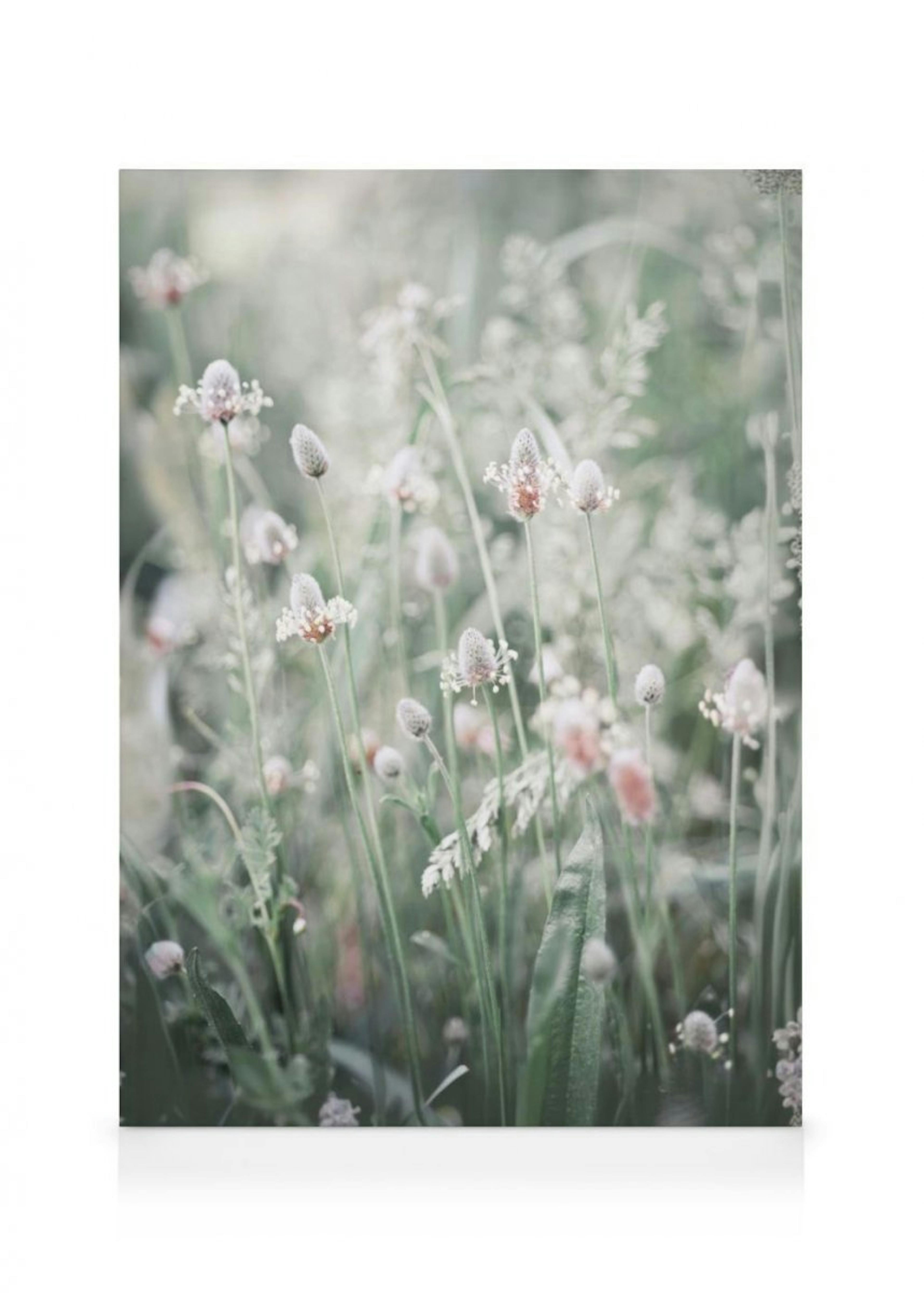 Fleurs dans une prairie Toile thumbnail