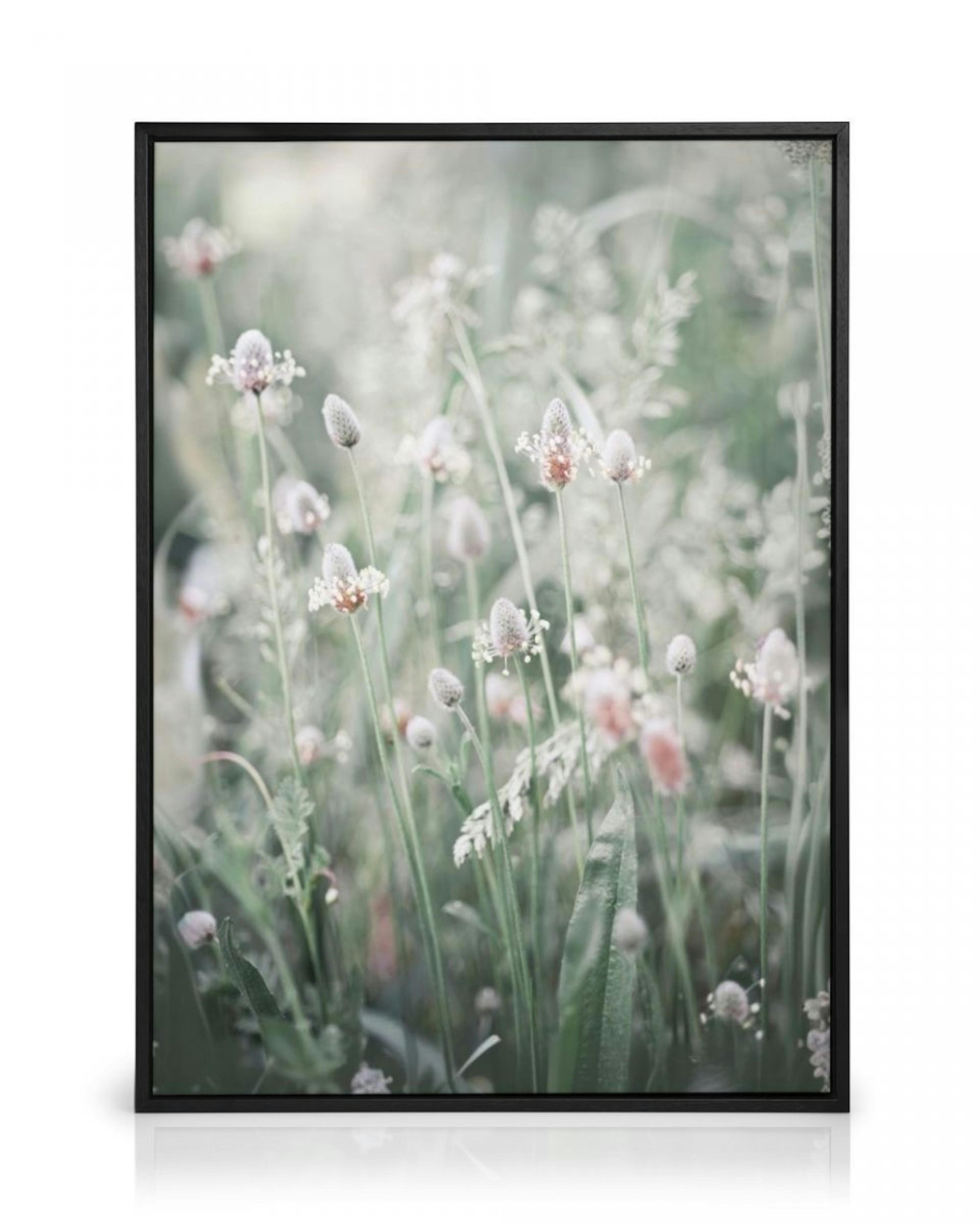 Blumen auf einer Wiese Leinwandbild thumbnail