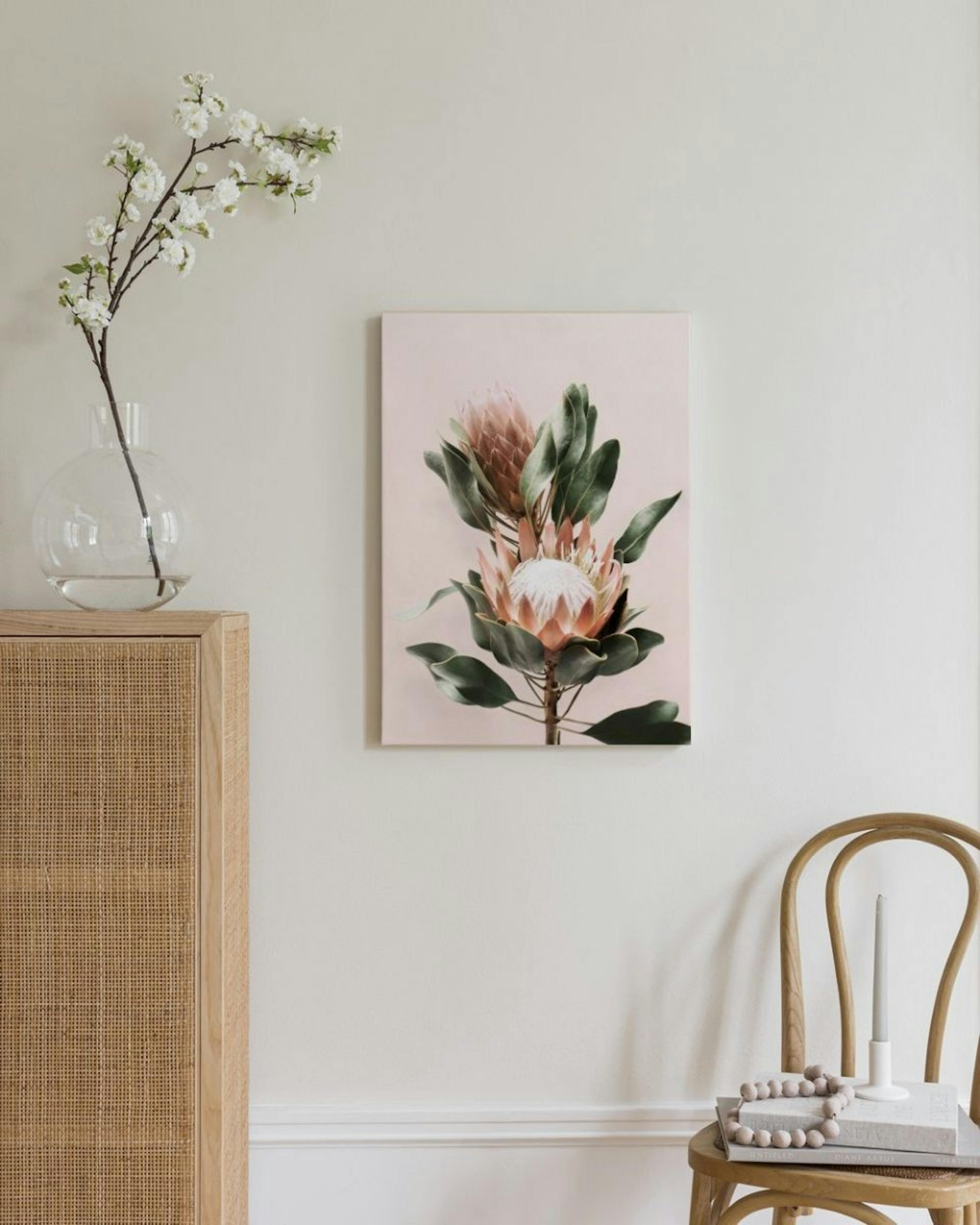 Protea Bloemen Canvas thumbnail