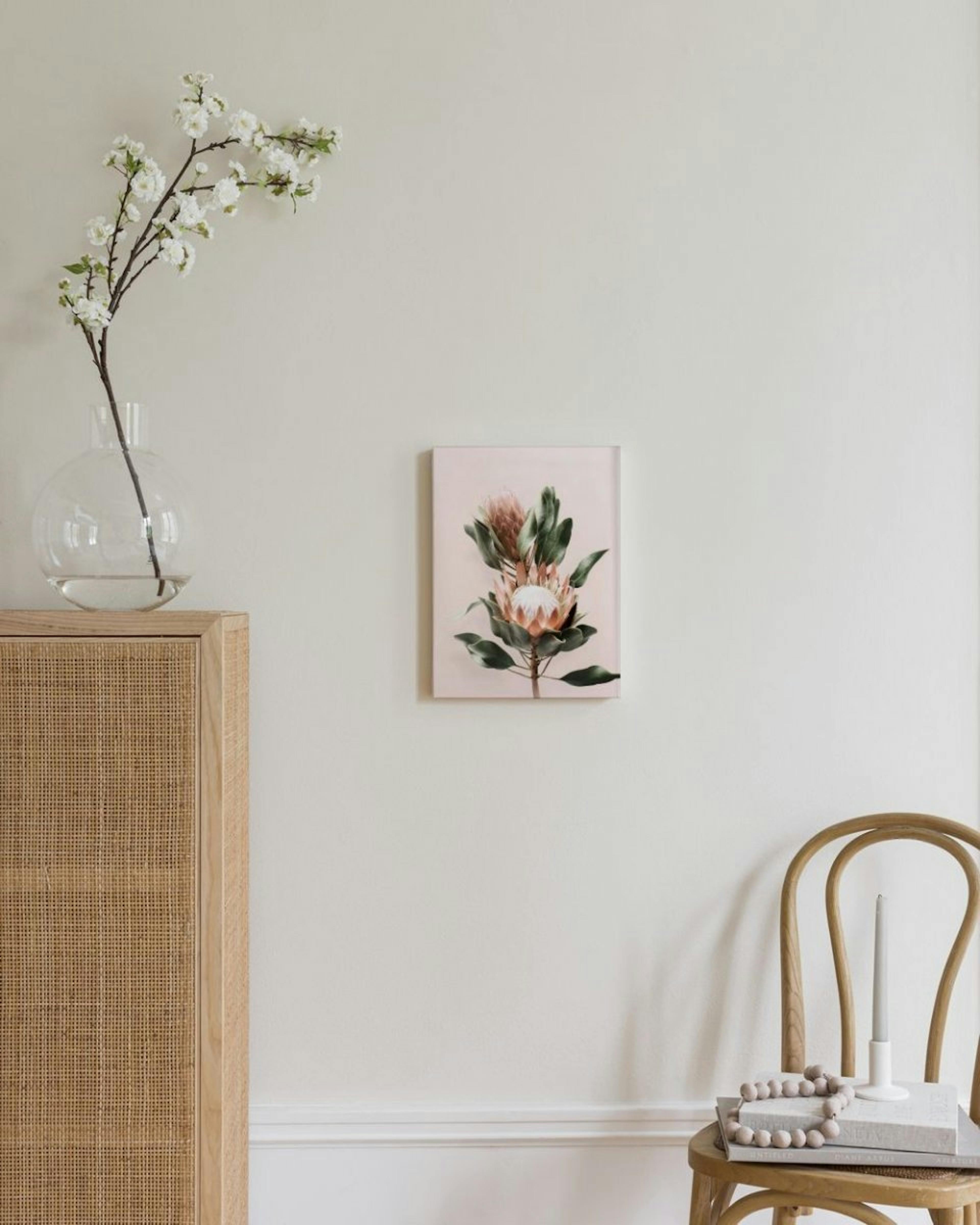 Protea Flowers Canvas Print thumbnail