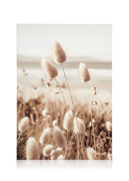 Herbe de Plage Toile (50x70 cm) - Poster Store
