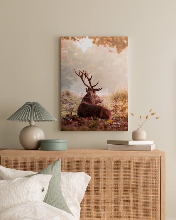 Canvas Prints - Red Deer Canvas print (50x70 cm - Black Frame) - Poster Store