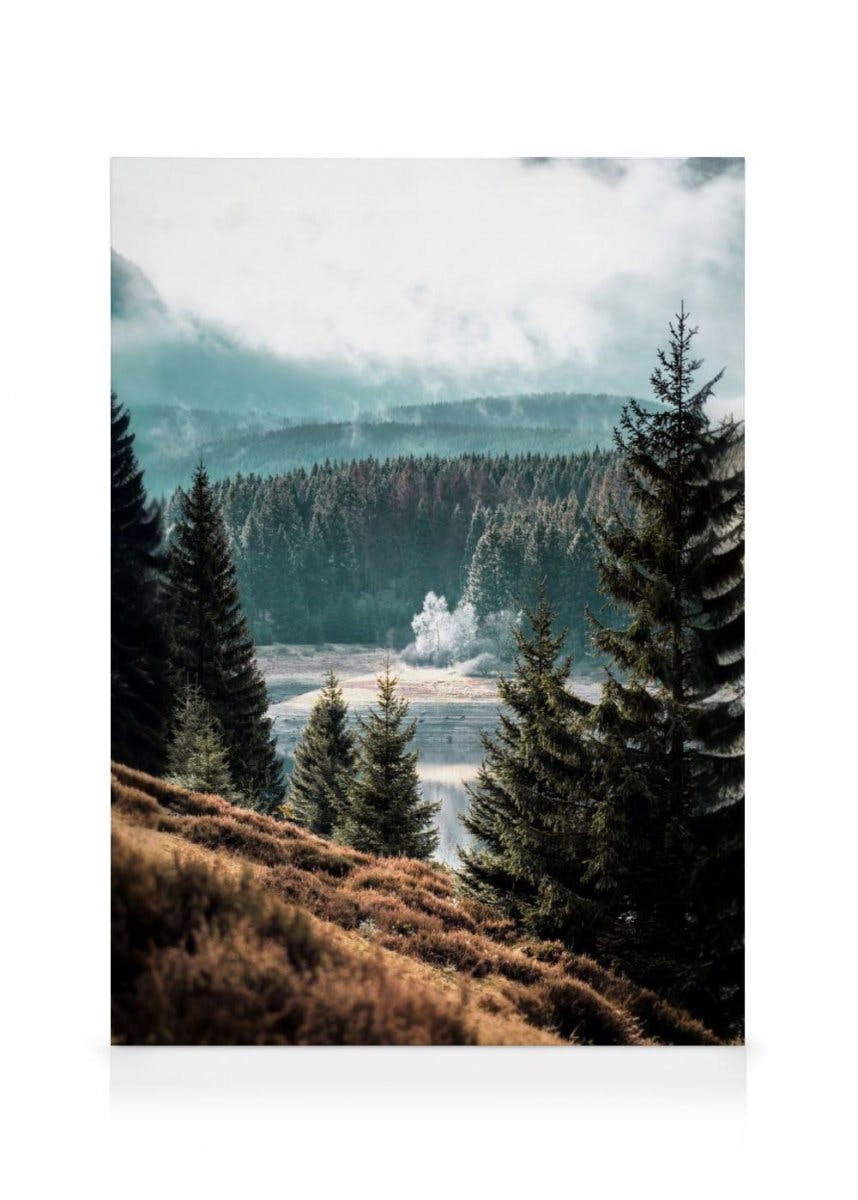 Forest View Canvas (50x70 cm - Fotolijst Zwart) - Poster Store