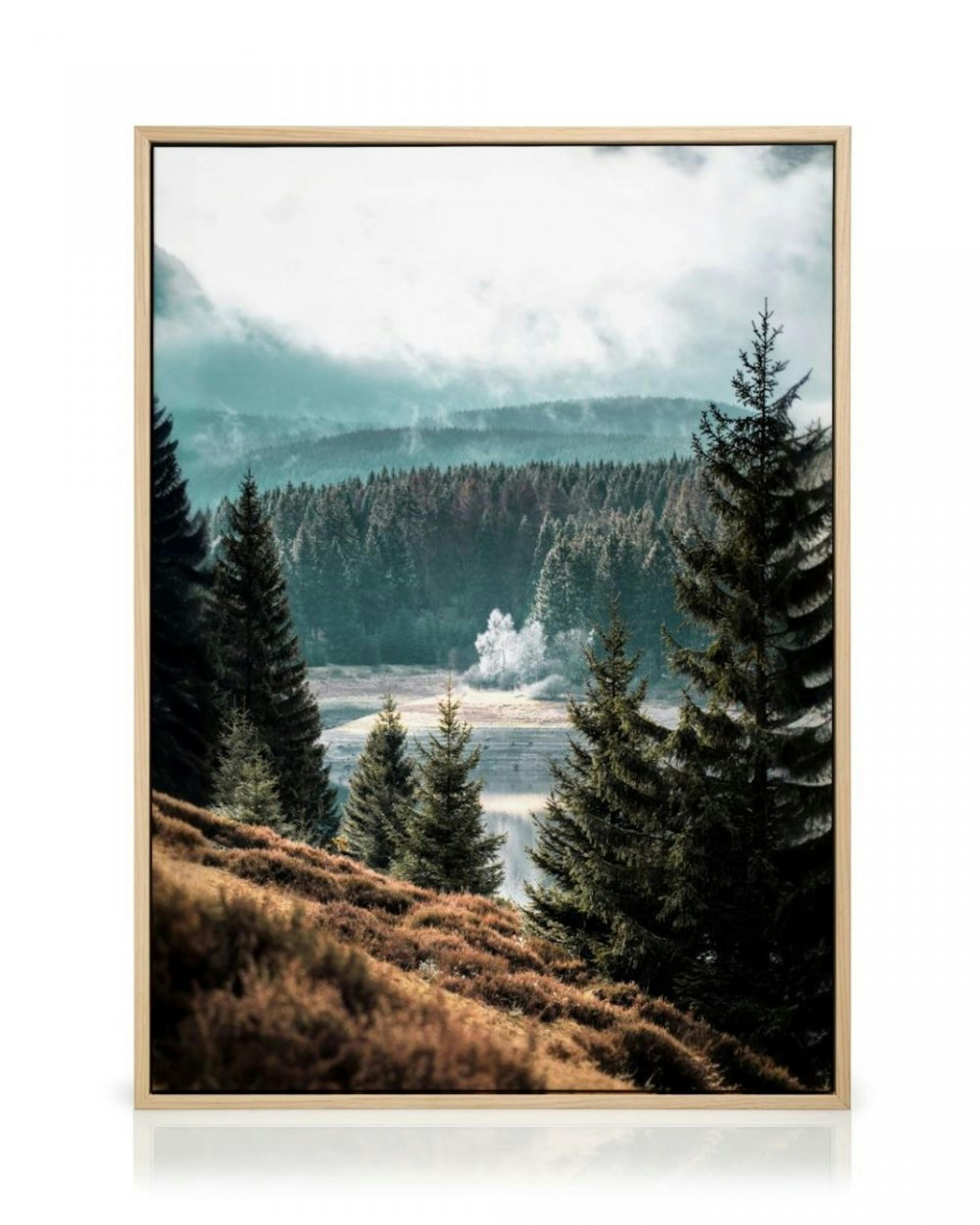 Forest View Canvas thumbnail