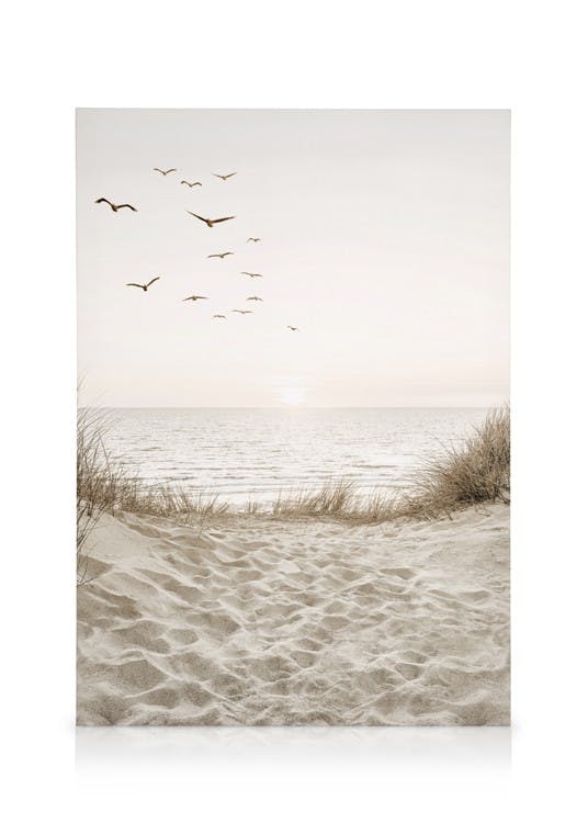 Oiseaux près de la Plage Toile (30x40 cm) - Poster Store