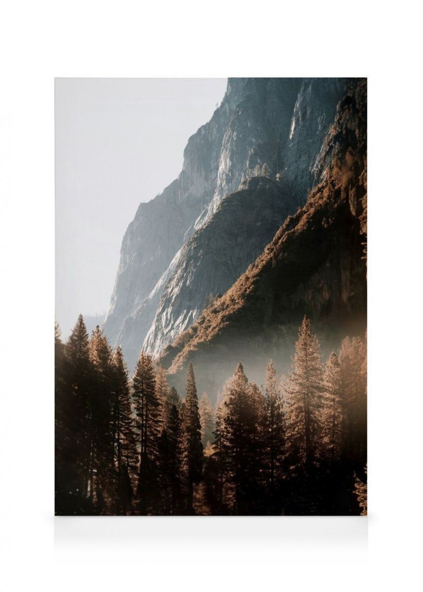 Las w Dolinie Obraz na Płótnie (50x70 cm) - Poster Store