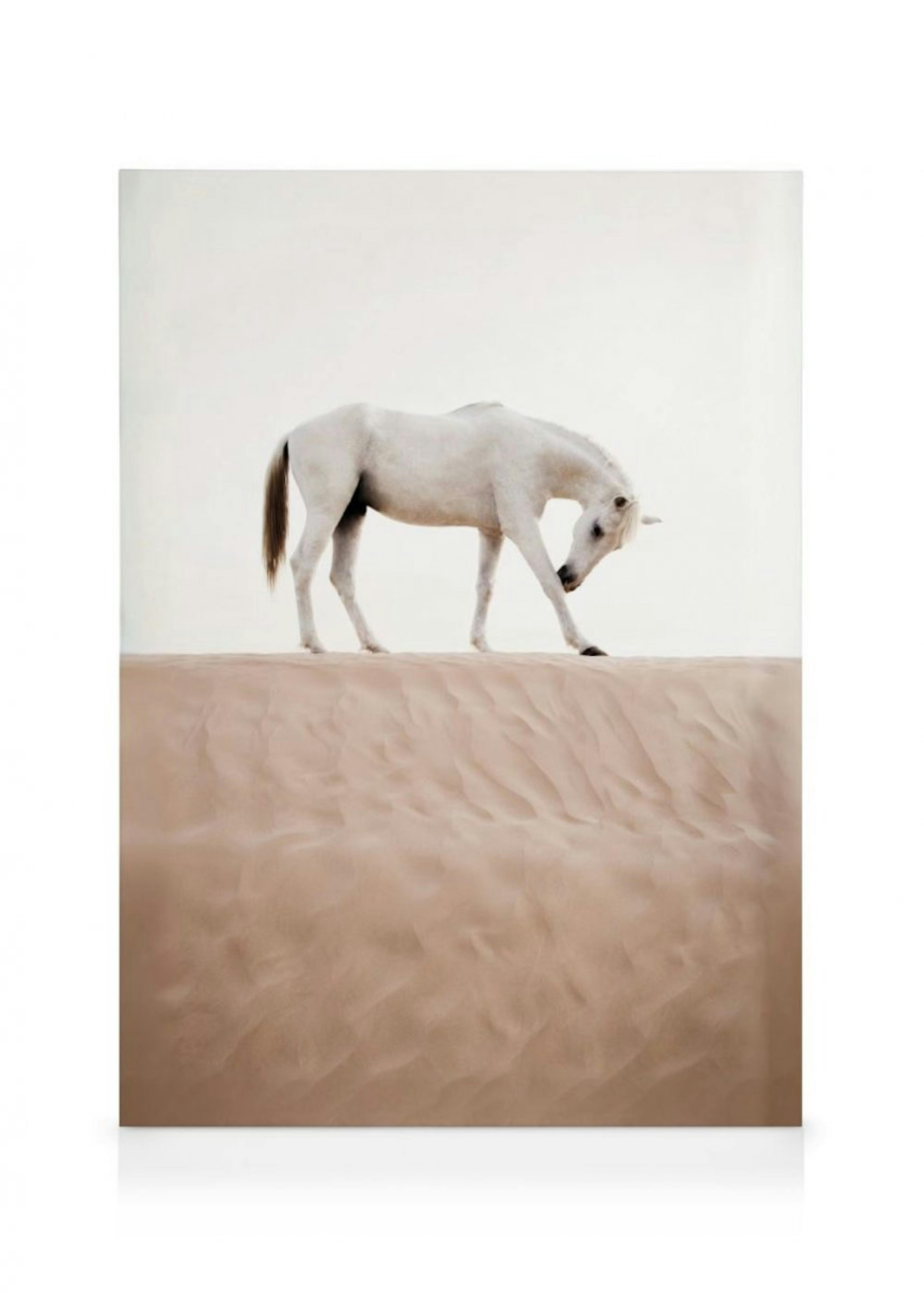 Desert Horse Leinwandbild 0