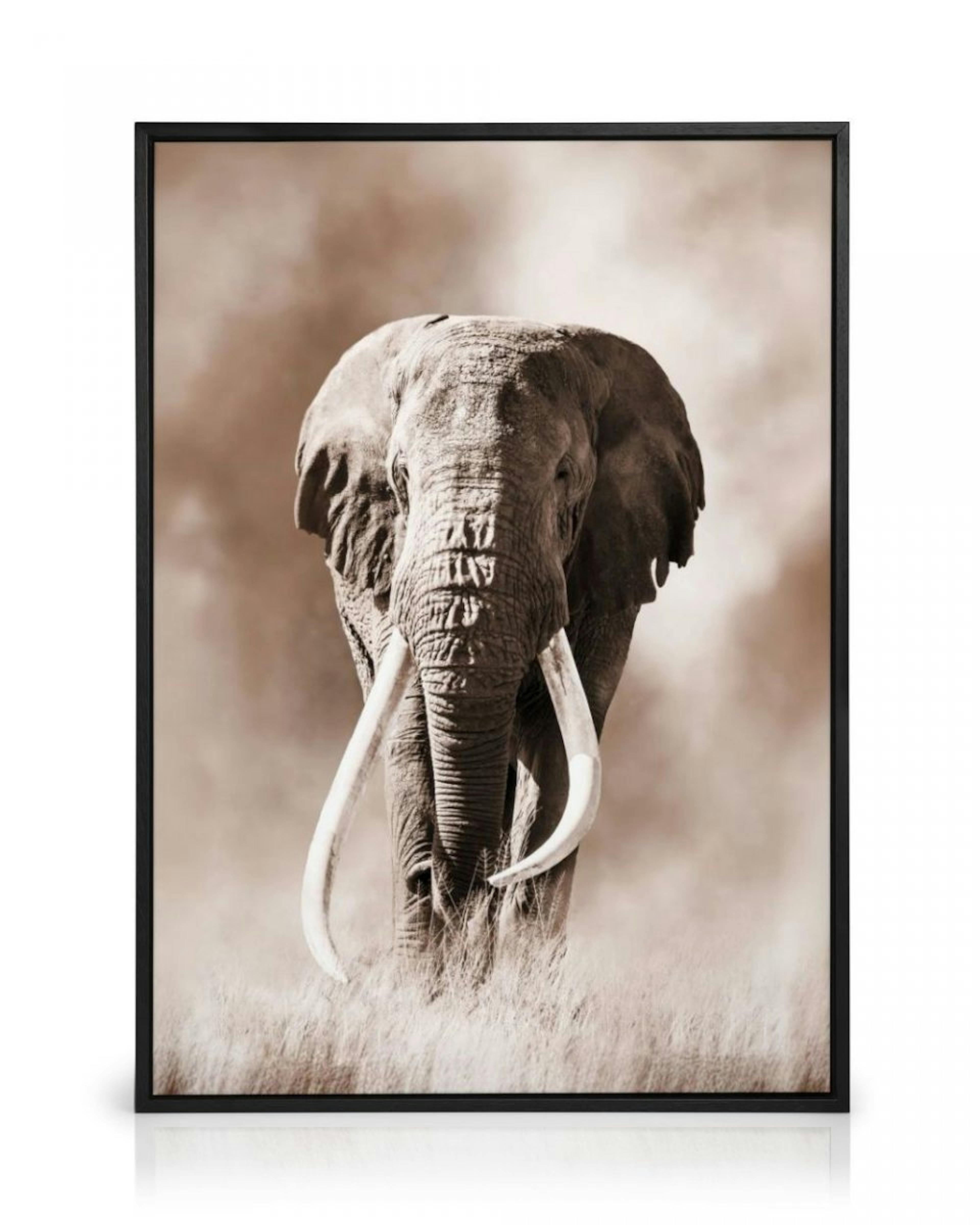 Wild Elephant Canvas print thumbnail