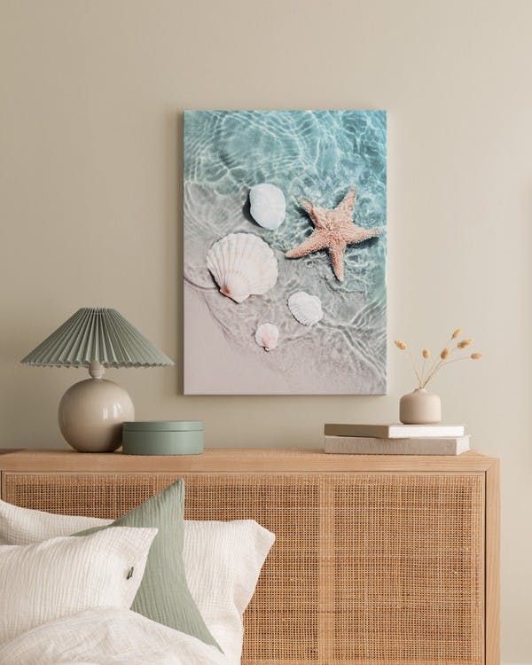 Canvas Prints - Starfish and Seashell Canvas print (30x40 cm - Black Frame) - Poster Store