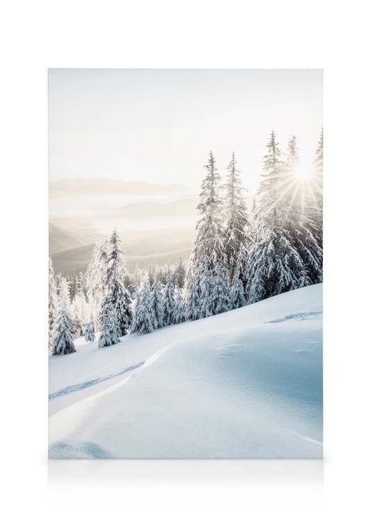 Canvastavlor - Winter Sunrise Canvas (30x40 cm) - Poster Store