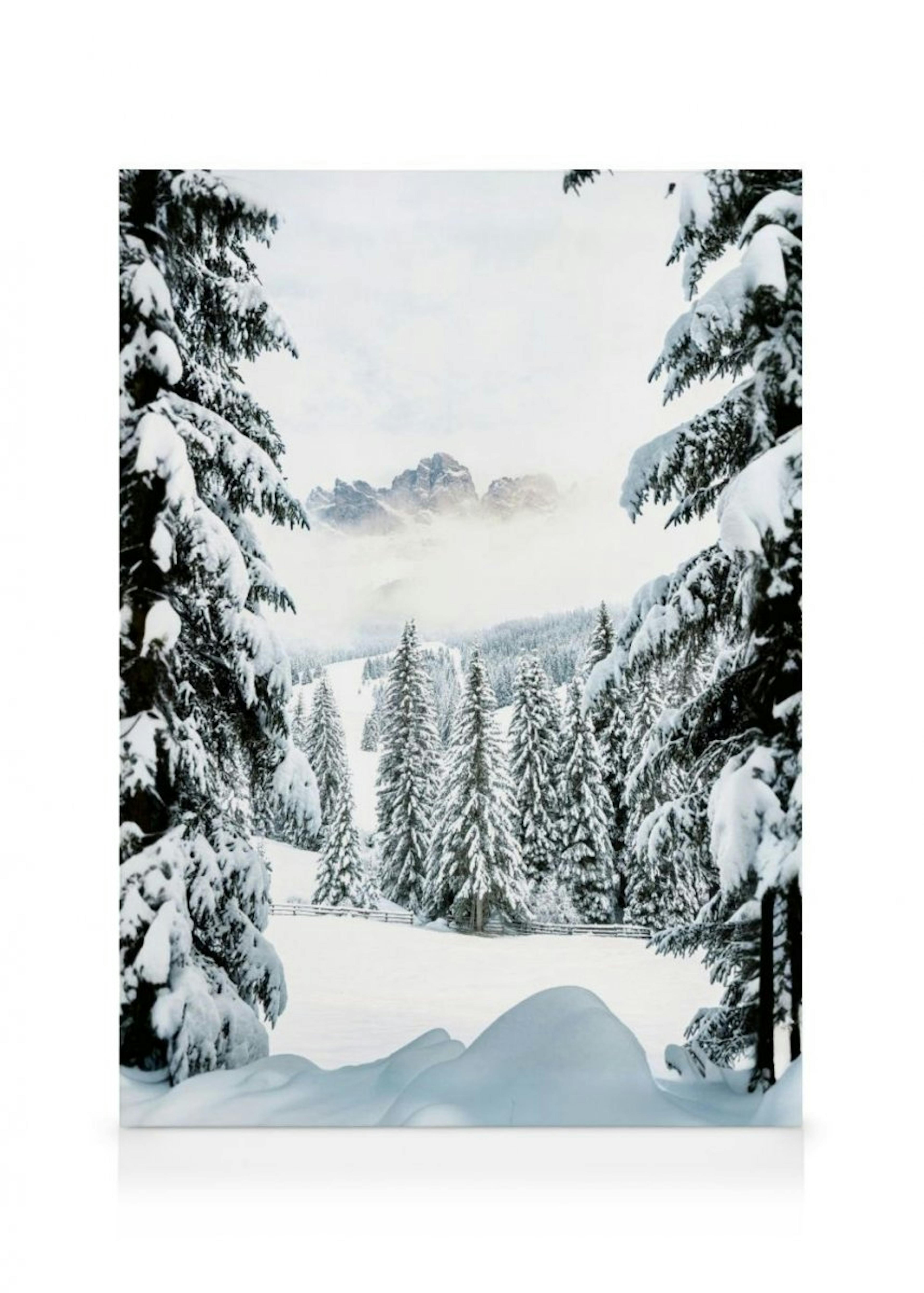 Winter Valley Canvas Print thumbnail