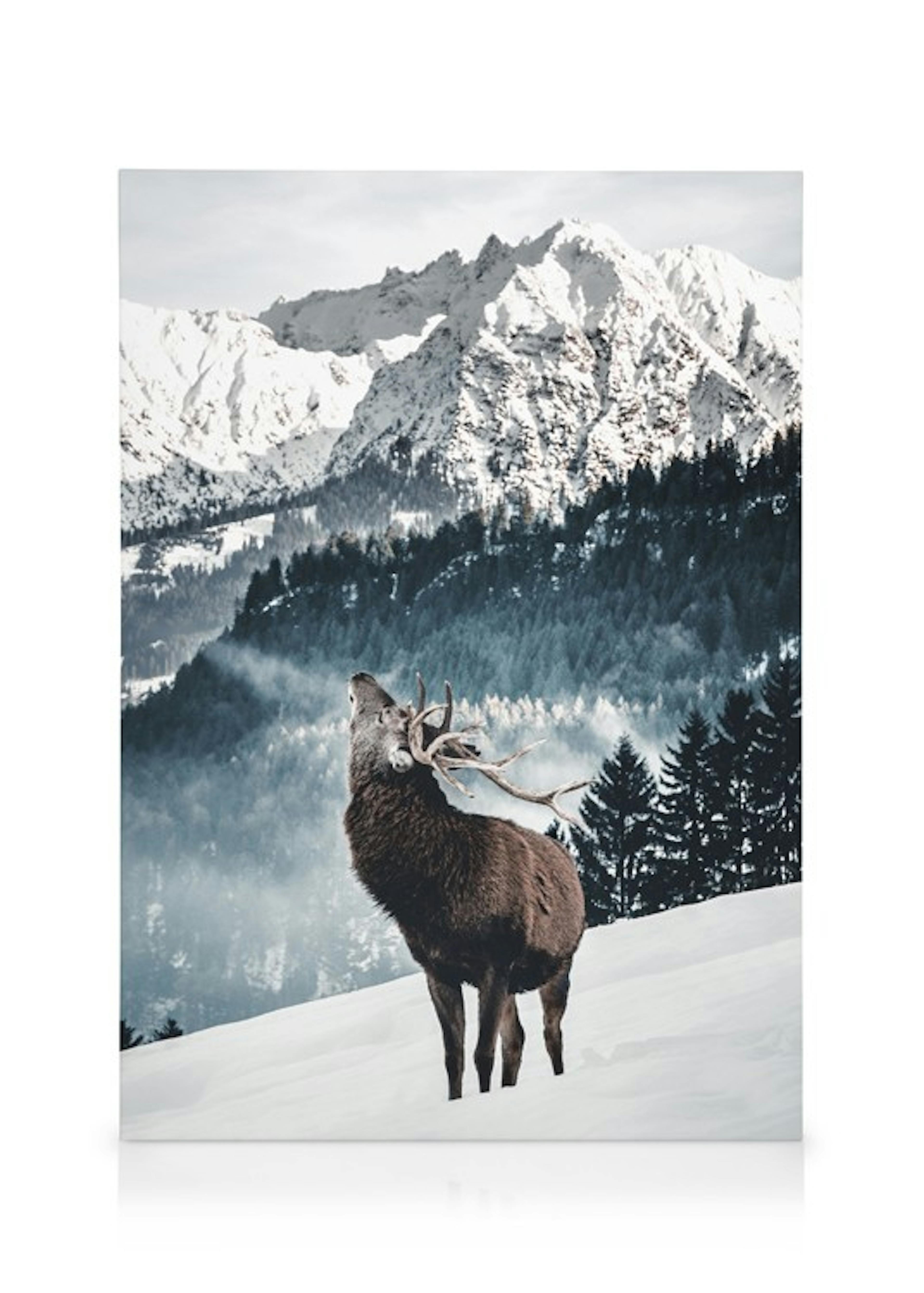 Winter Deer Canvas 0