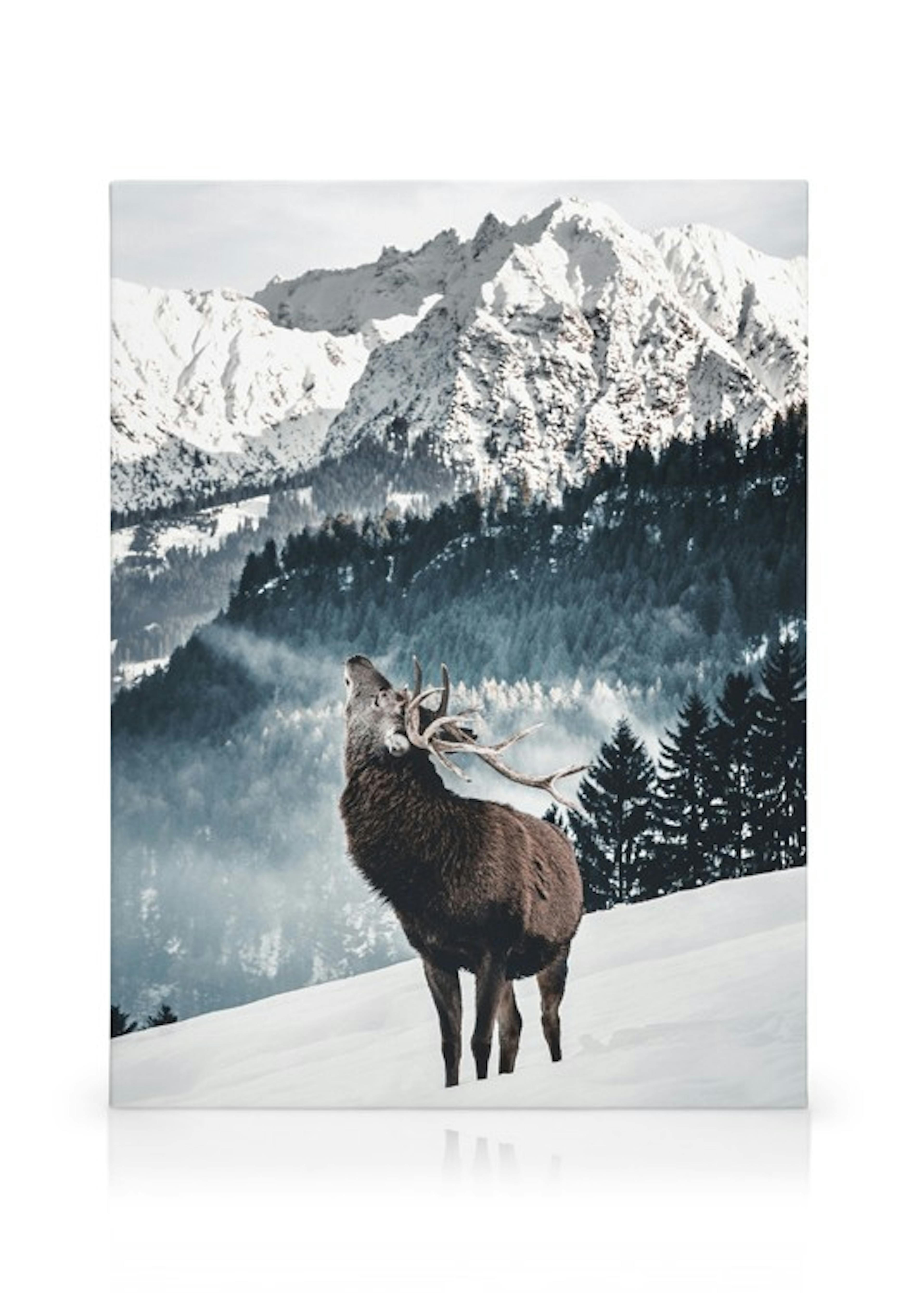 Winter Deer Lienzo thumbnail