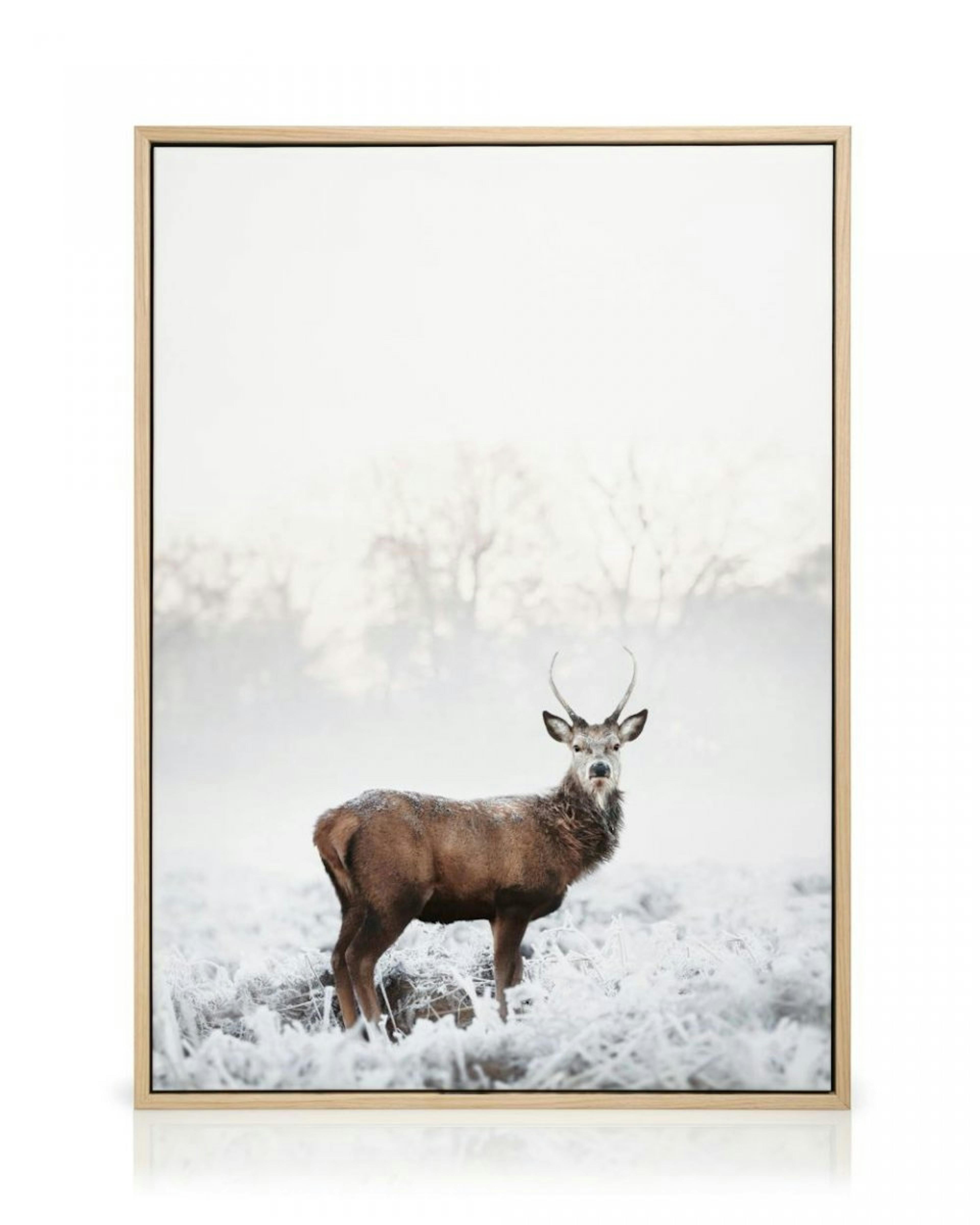 Frosty Red Deer Canvas print thumbnail