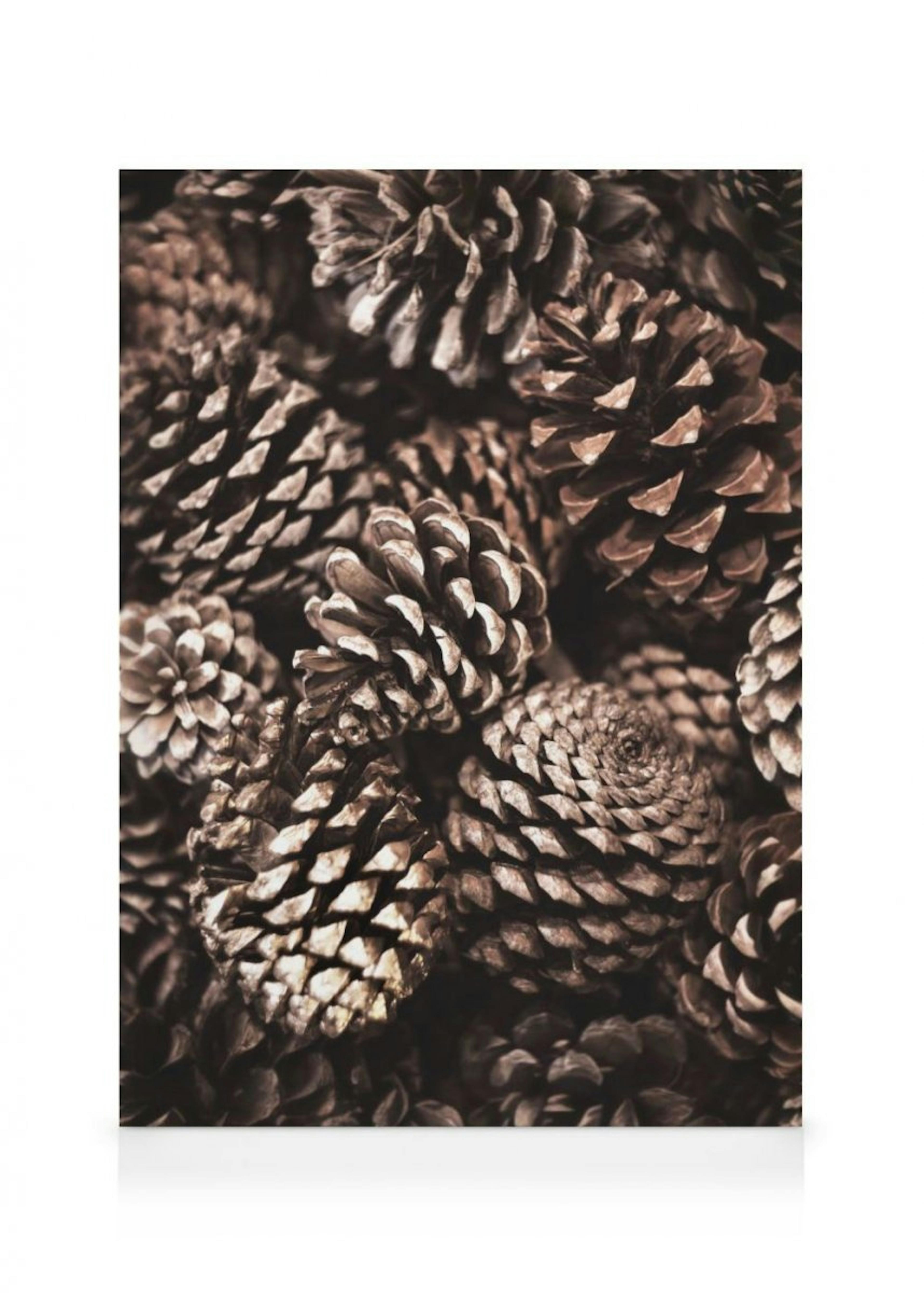 Pine Cones Stampa su Tela thumbnail