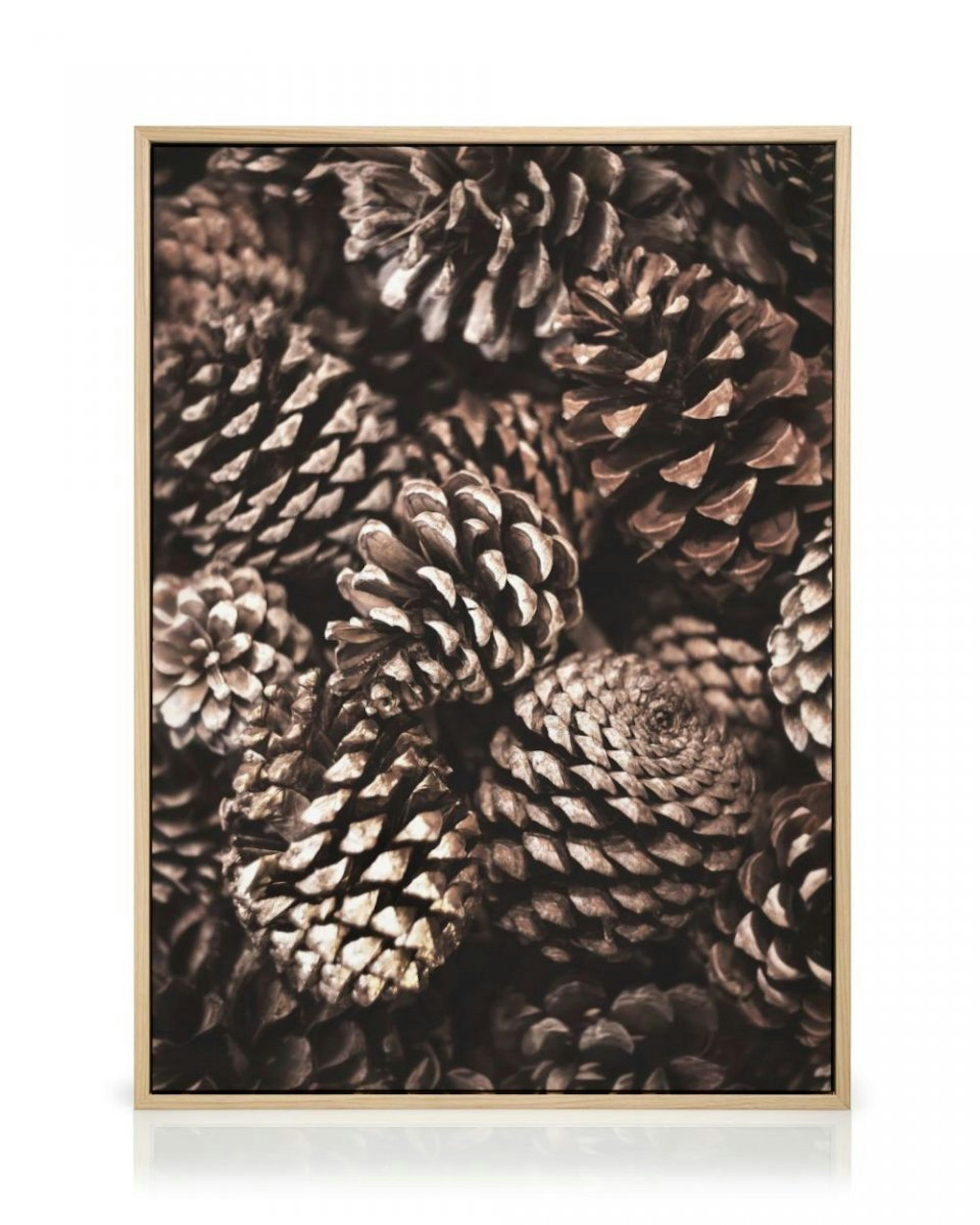 Pine Cones Stampa su Tela thumbnail