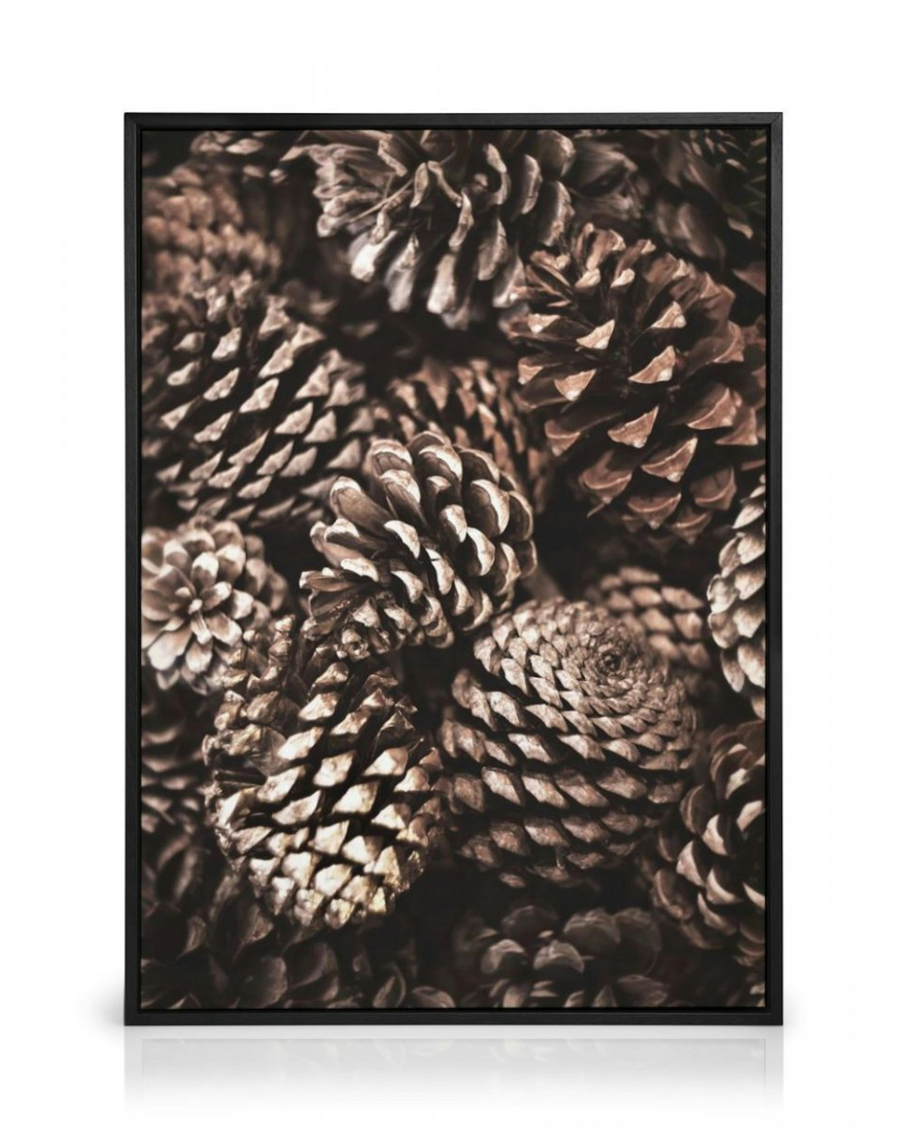 Pine Cones Stampa su Tela thumbnail