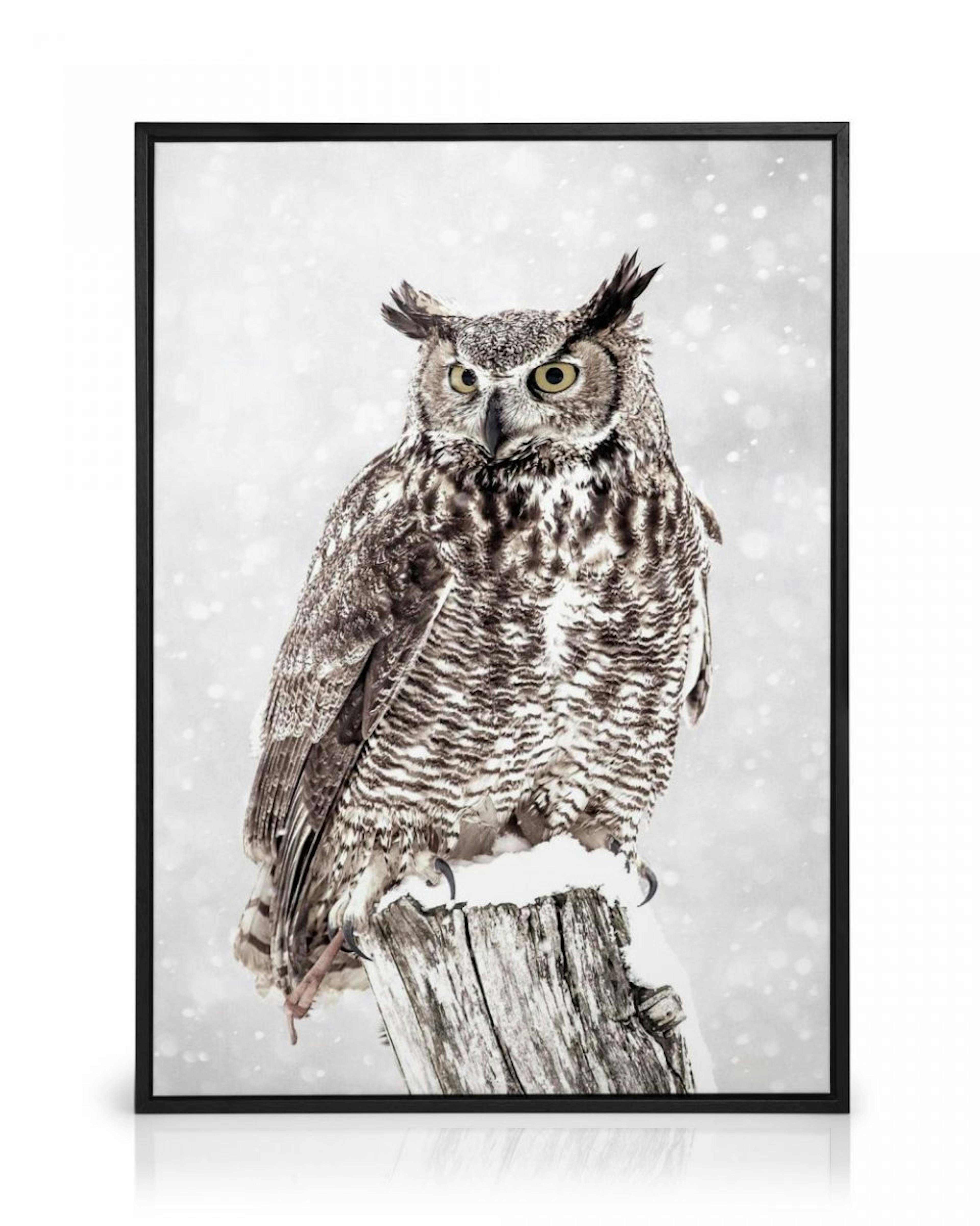 Owl in Snowfall Canvas print thumbnail