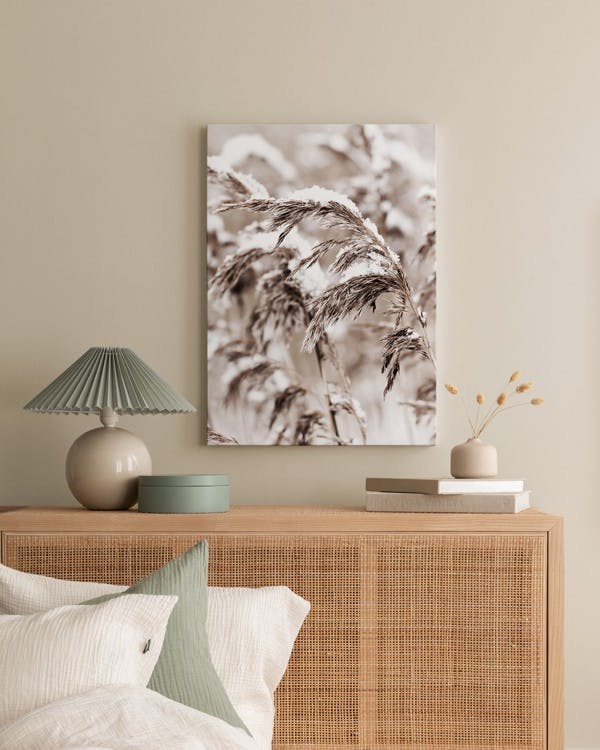 Canvas Prints - Snowy Reed Canvas print (30x40 cm - Black Frame) - Poster Store