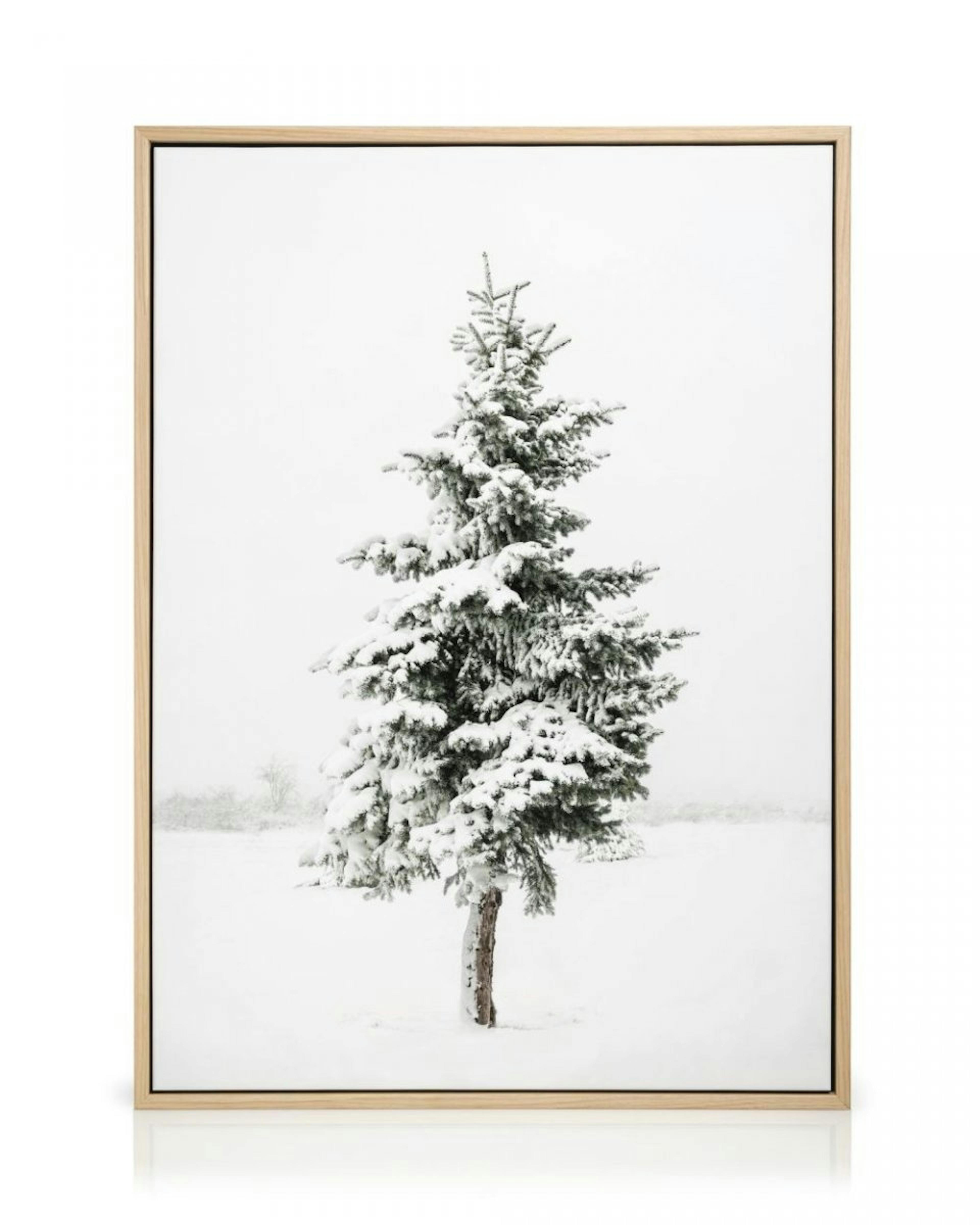 Snowy Spruce Canvas print thumbnail