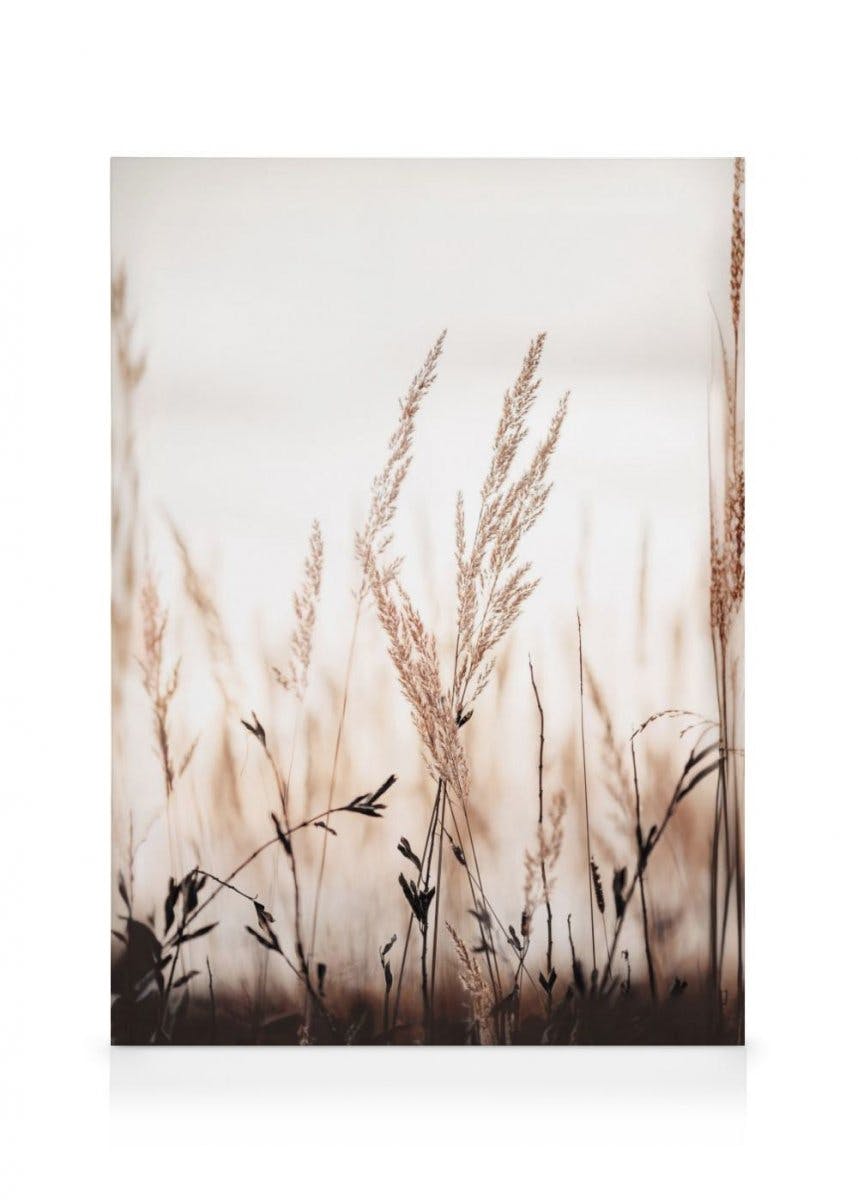 Canvas Prints - Sunset in Field Canvas print (70x100 cm - Oak Frame) - Poster Store