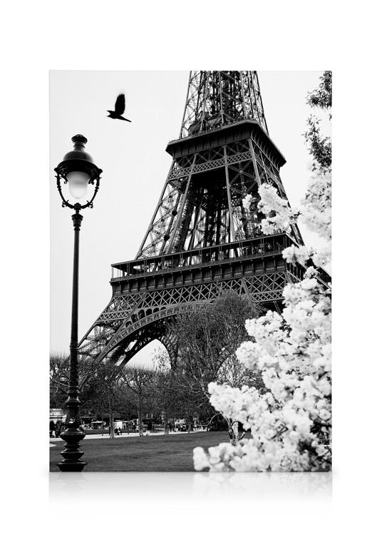 Calles París lienzo (30x40 cm - Marco de roble) - Poster Store